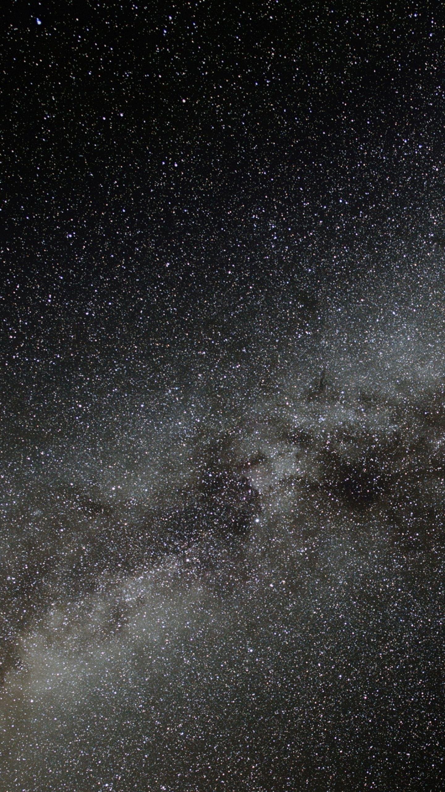 1440 x 2560 Phone Wallpaper