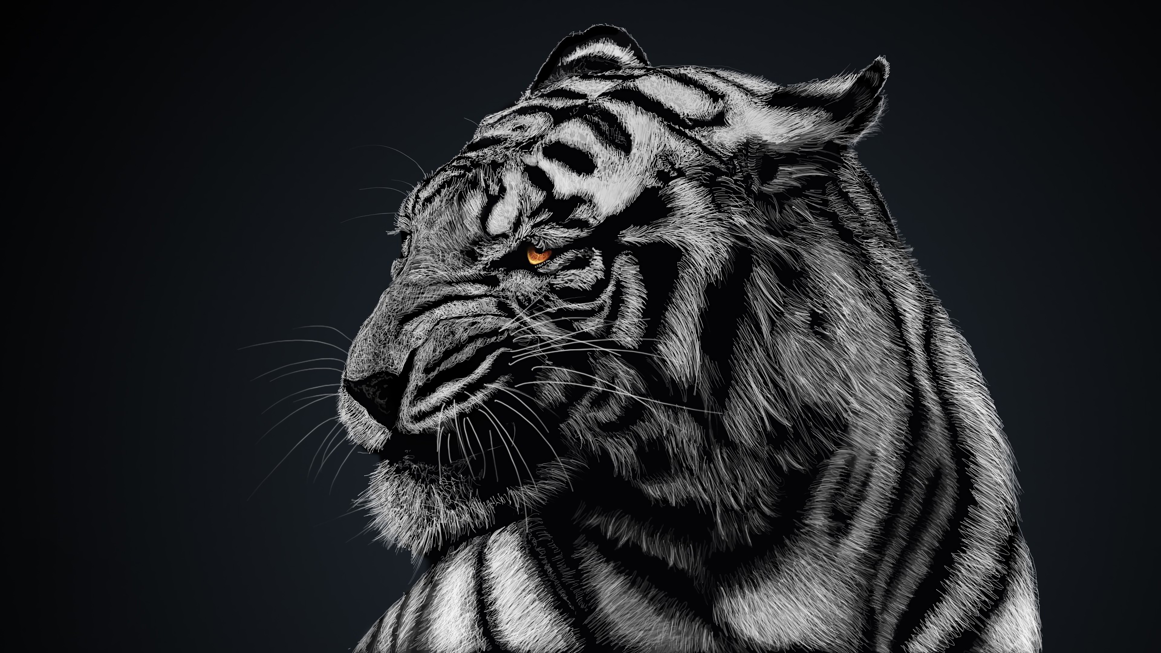 White Tiger Wallpapers 4k Ultra HD ID:3196.