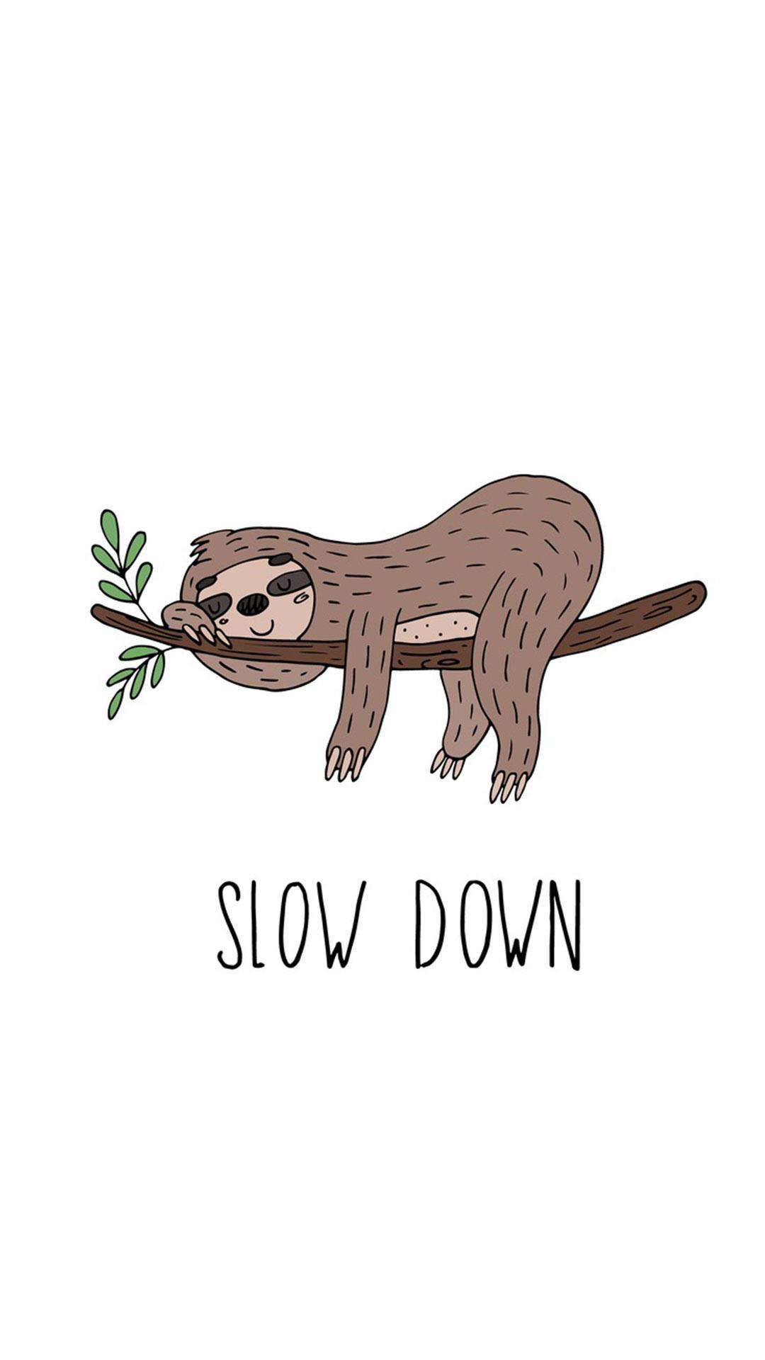 girly sloth wallpapers clean