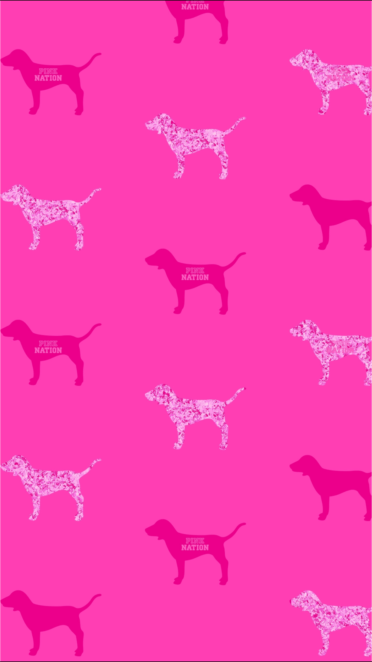 Pink Dog Wallpaper Free Pink Dog Background