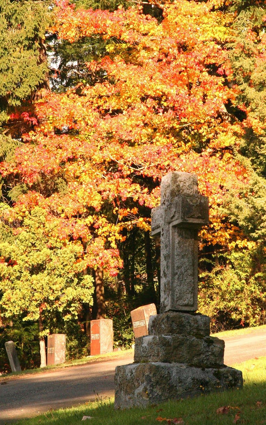 HD wallpaper: fall leaves, cemetery, season, autumn, halloween, orange, gravestone