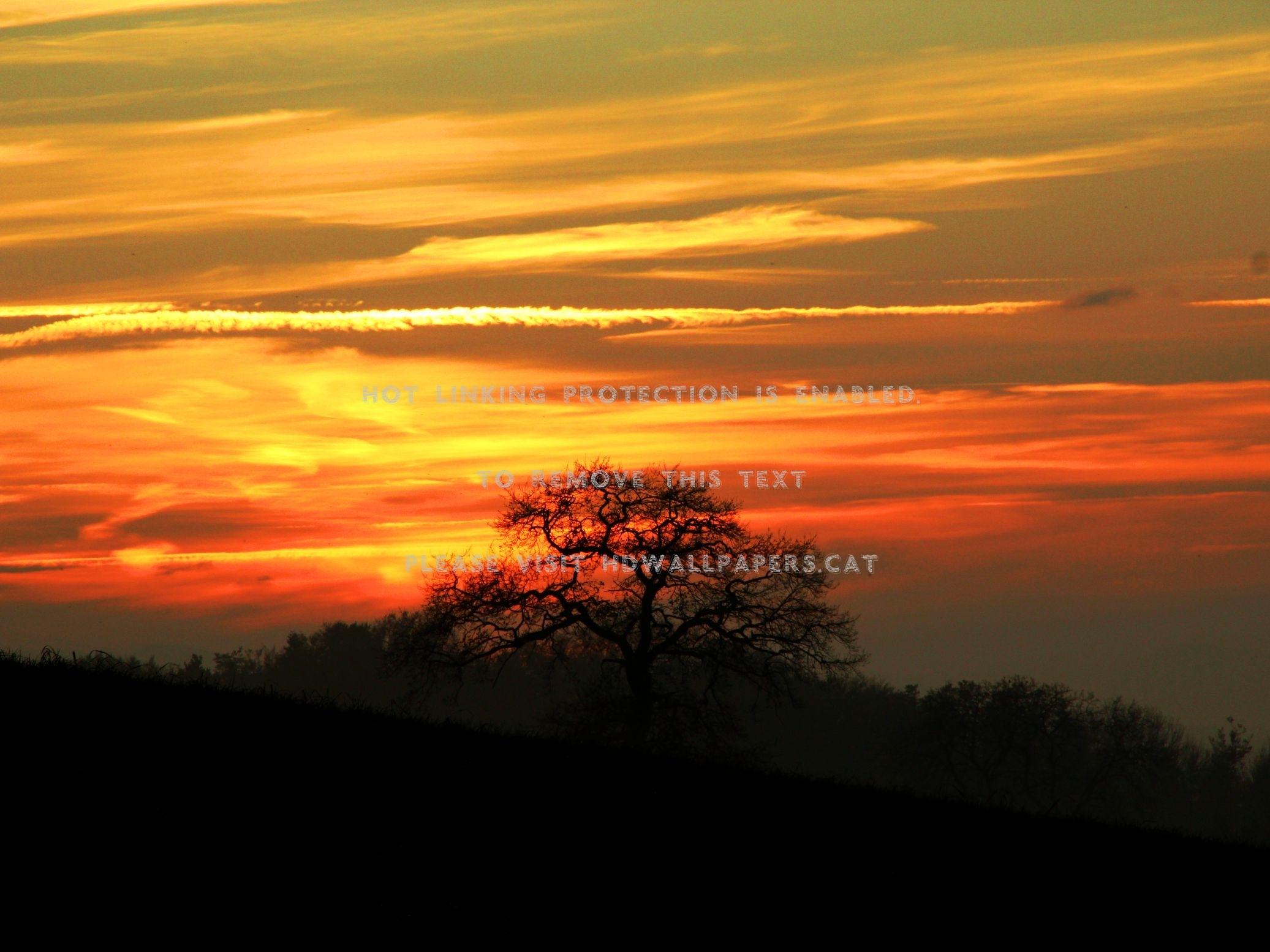 late autumn sunset colors sky clouds trees