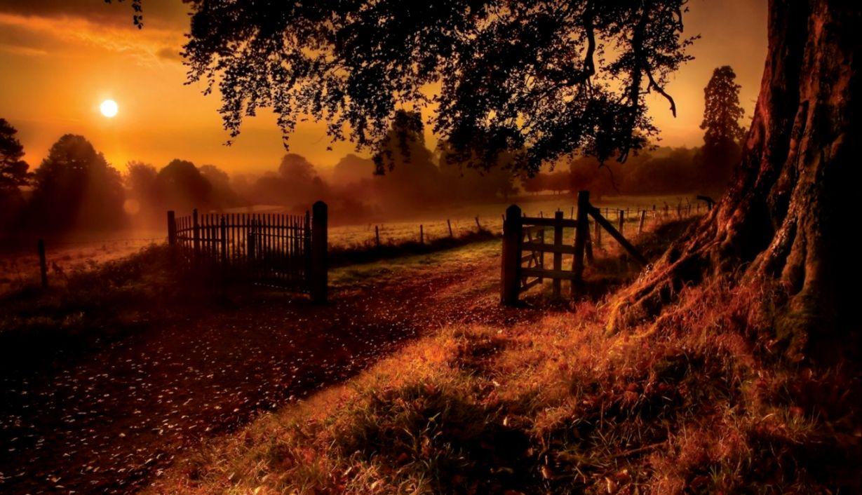 Autumn Sunset HD Wallpaper Free Download