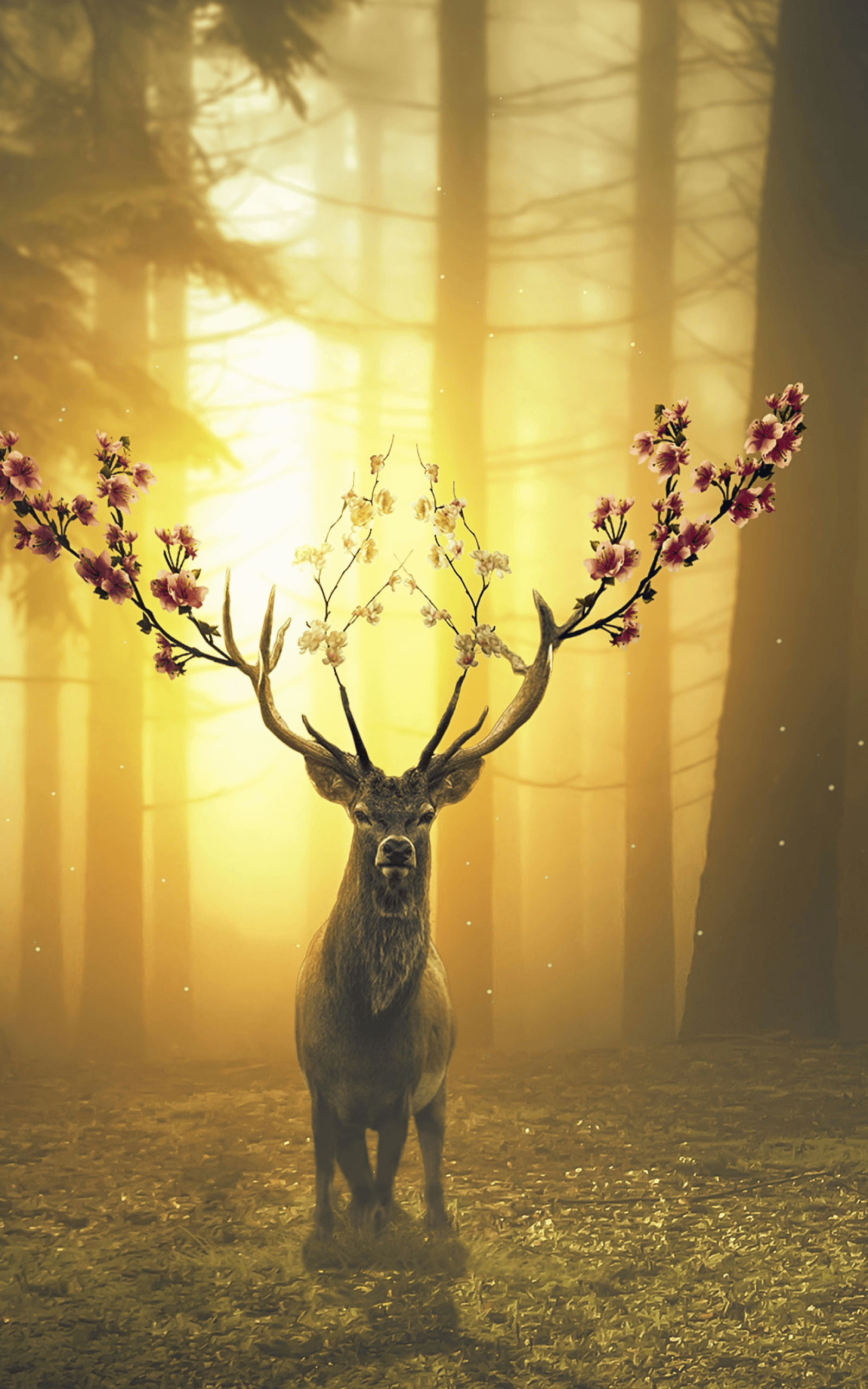 Download 1600x2560 Deer, Flowers, Horns, Forest, Autumn