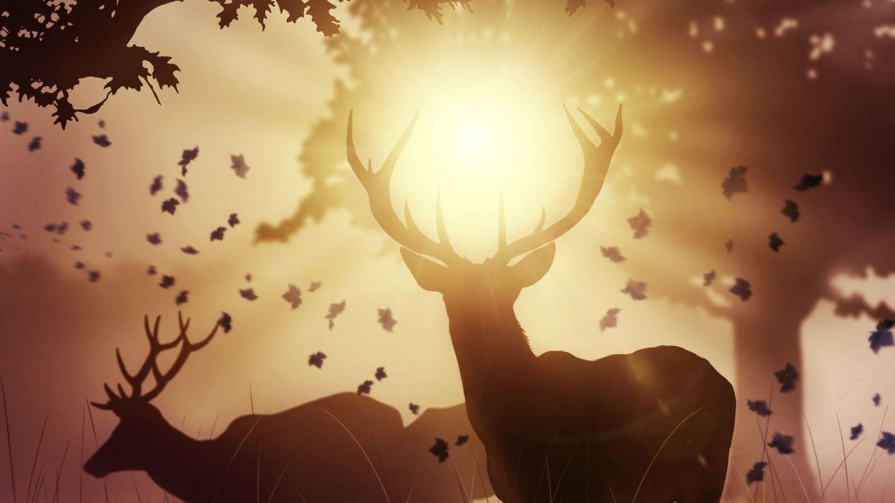 Wallpaper Deers, Mystic, Sunlight, Autumn, Sunset