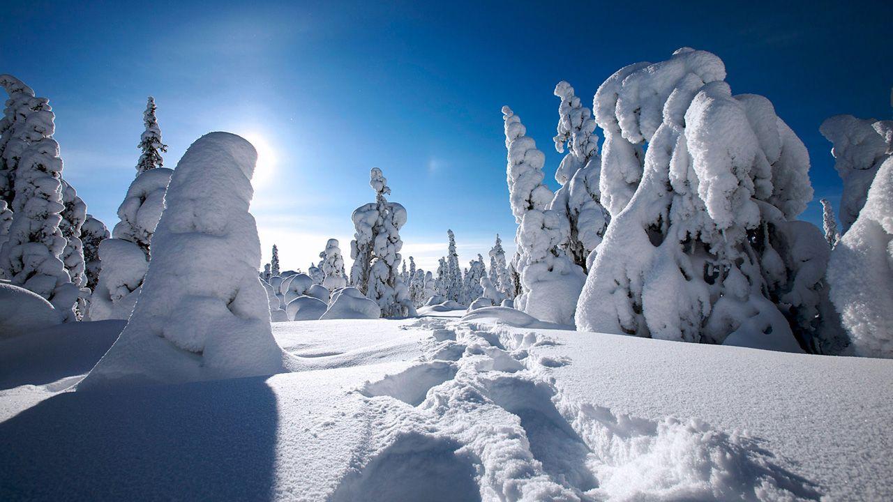 Strong winter snow landscape Wallpaper HD. Winter Wallpaper