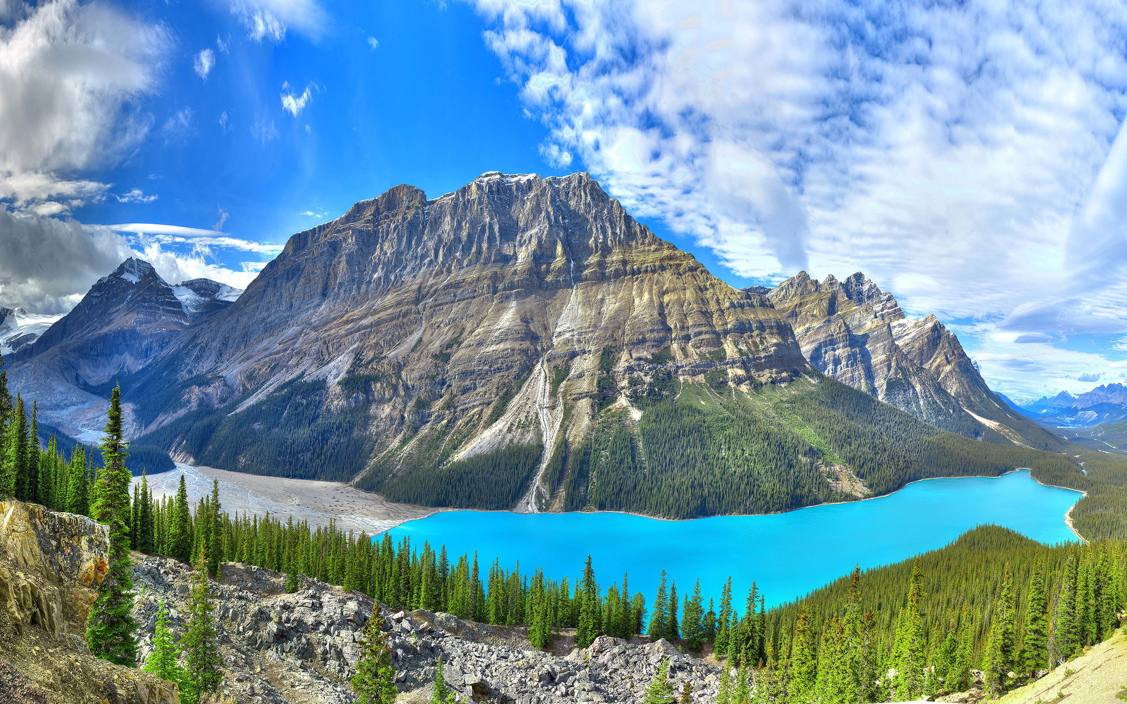 4k, Peyto Lake, summer, Banff, mountains, forest, Alberta