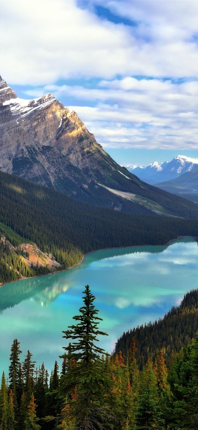 Canada, Alberta, Banff National Park, Mount Patterson, Peyto