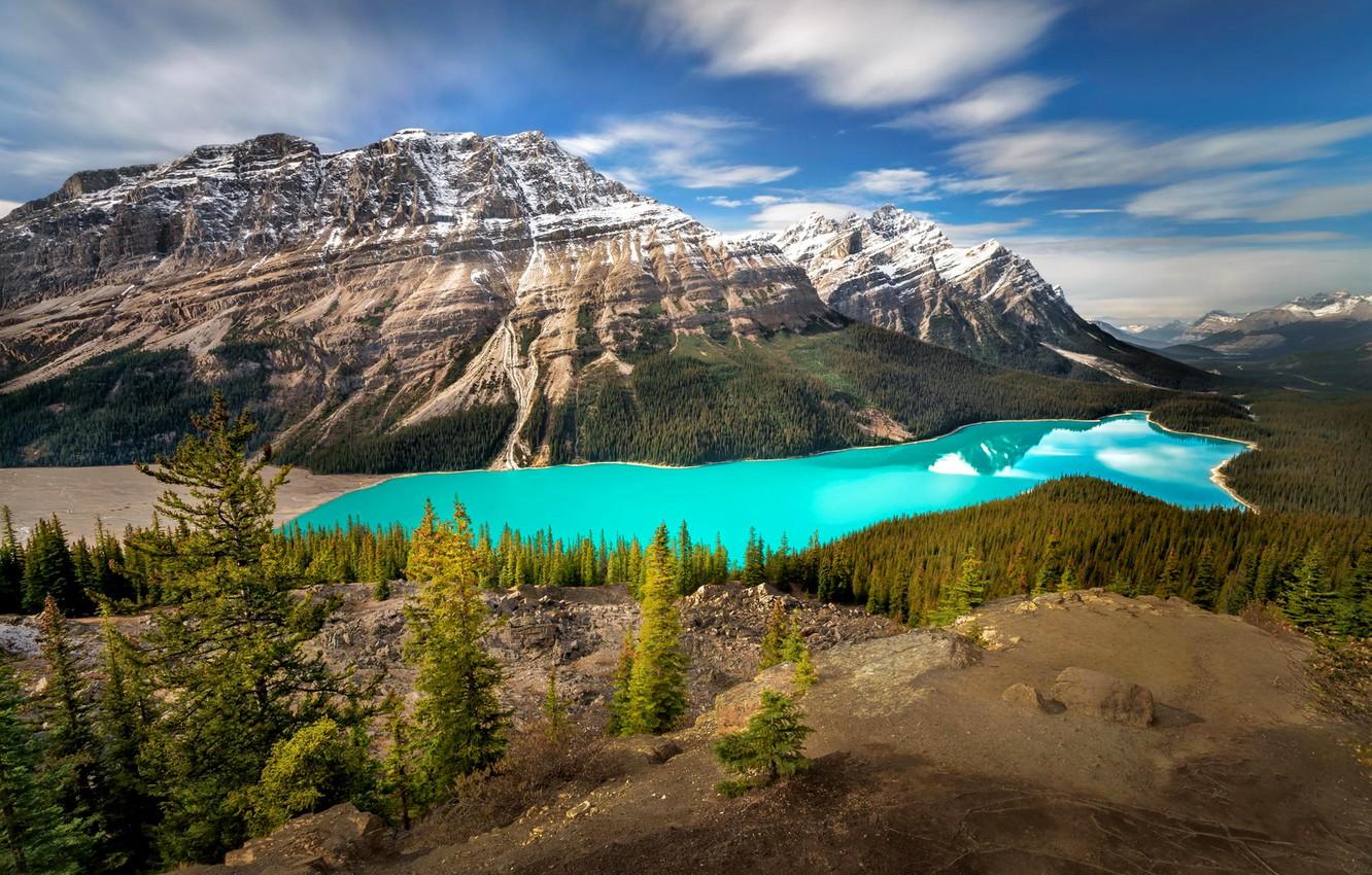 Peyto Lake Banff National Park Wallpapers - Wallpaper Cave