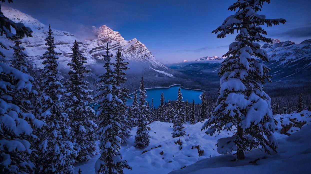 Peyto Lake 3840x2160 Frozen Winter Banff National Park