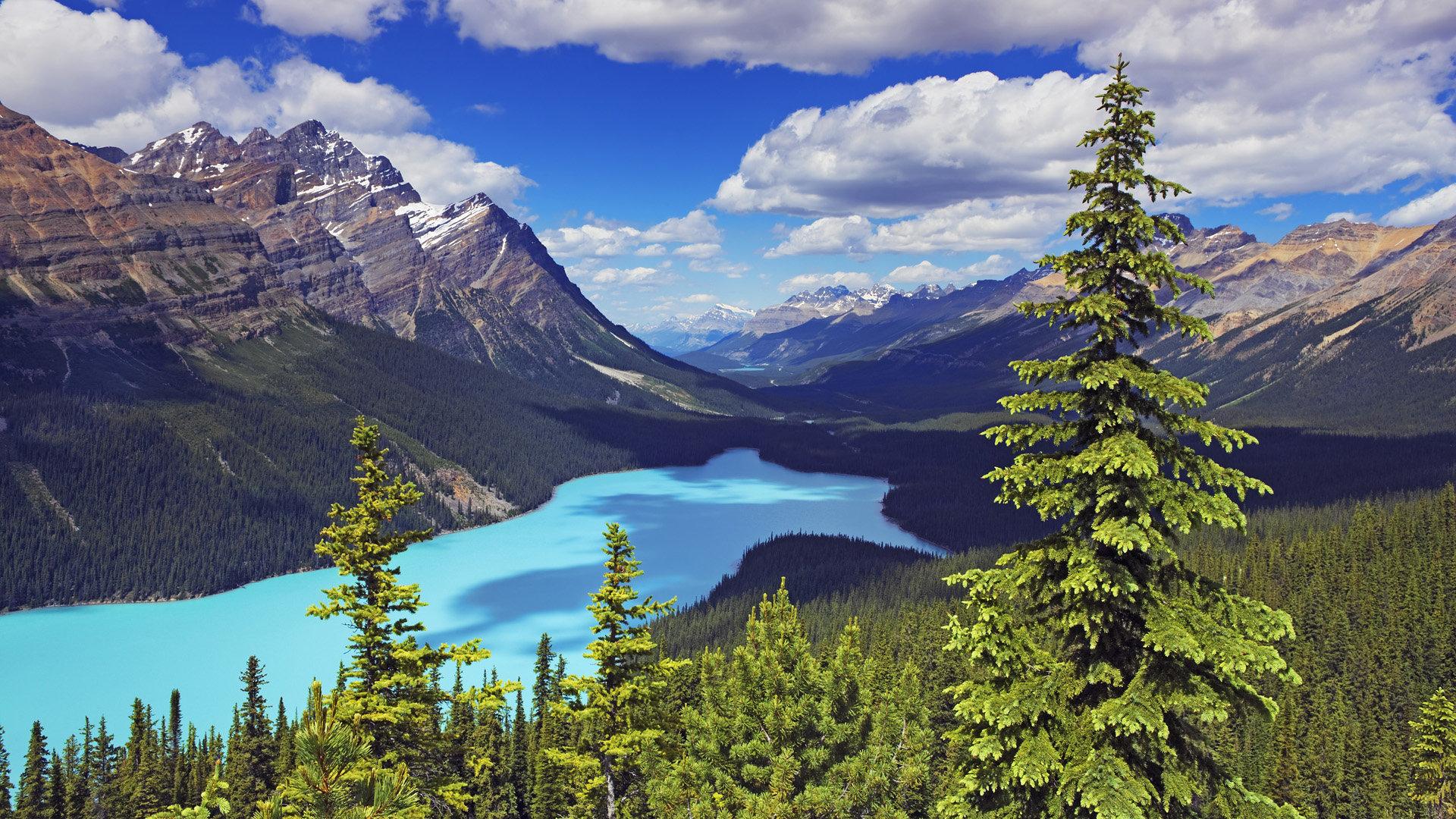Peyto Lake with Mount Patterson in Banff National Park