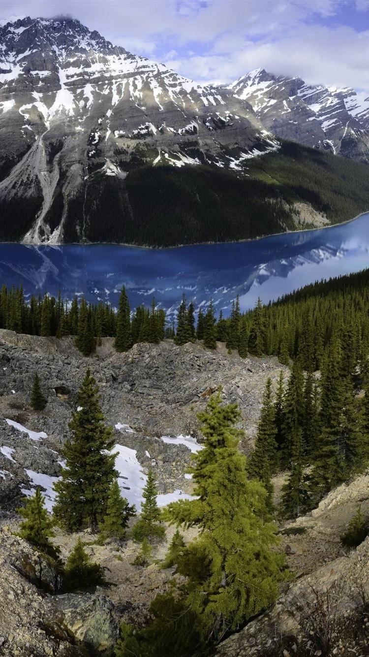 Banff National Park, Peyto Lake, mountains, forest, Canada