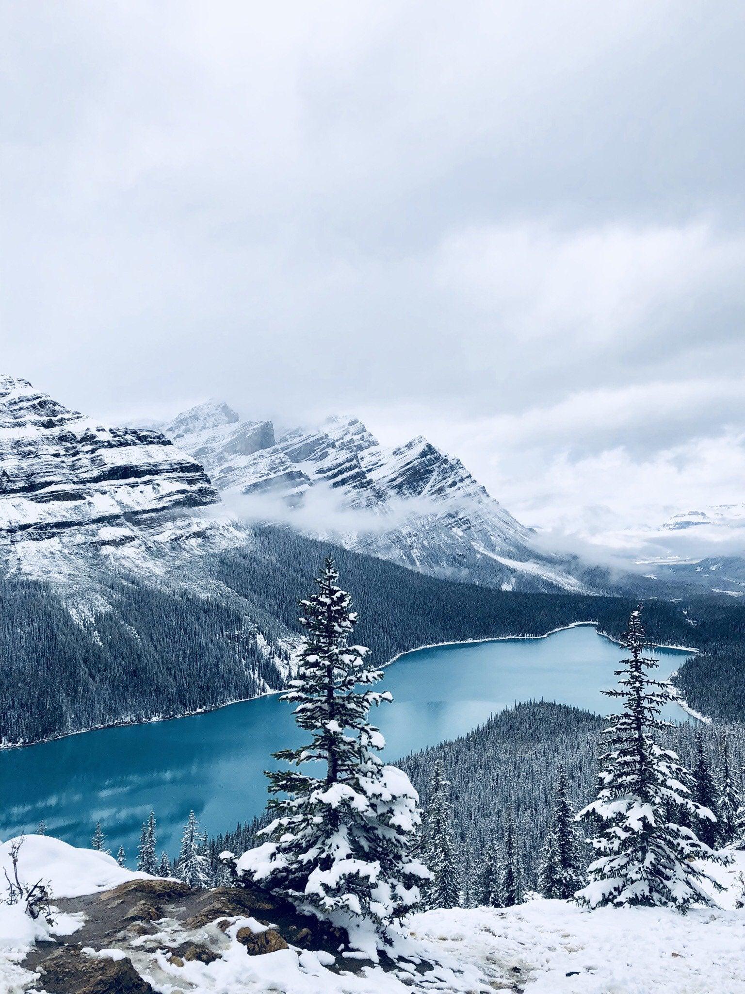 Peyto Lake, Banff National Park [OC][3024x4032]
