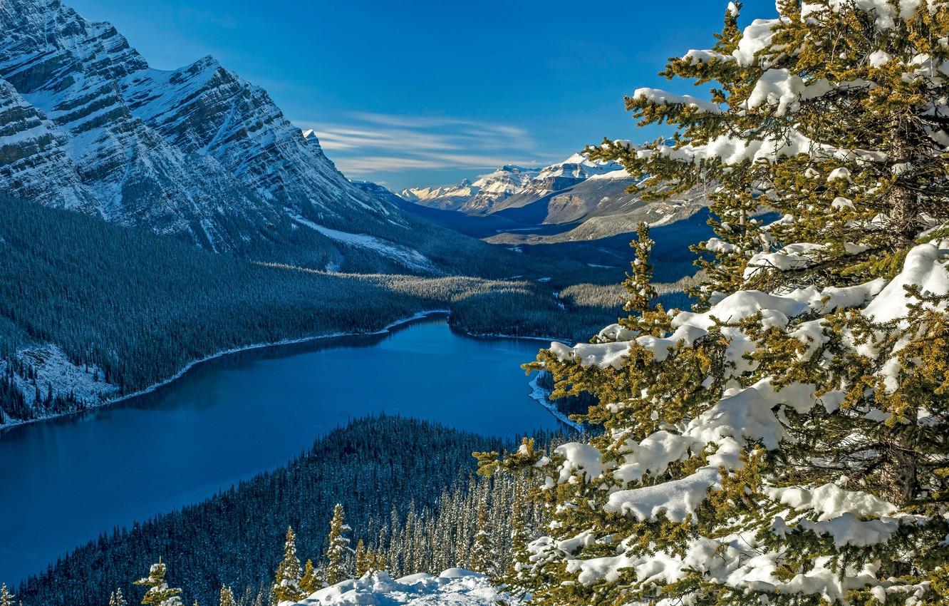 Peyto Lake Banff National Park Wallpapers - Wallpaper Cave