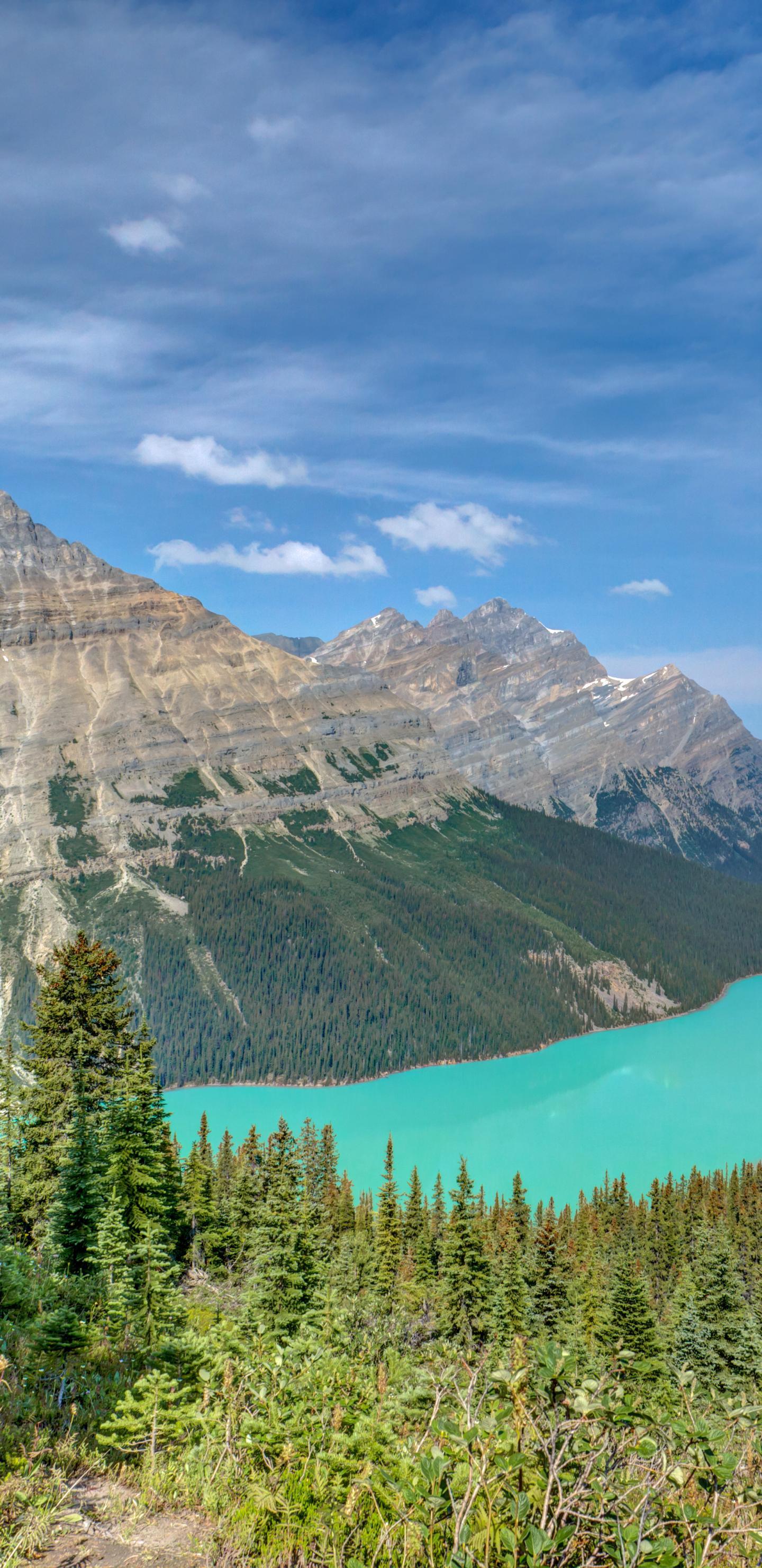 Peyto Lake Banff National Park Wallpapers - Wallpaper Cave