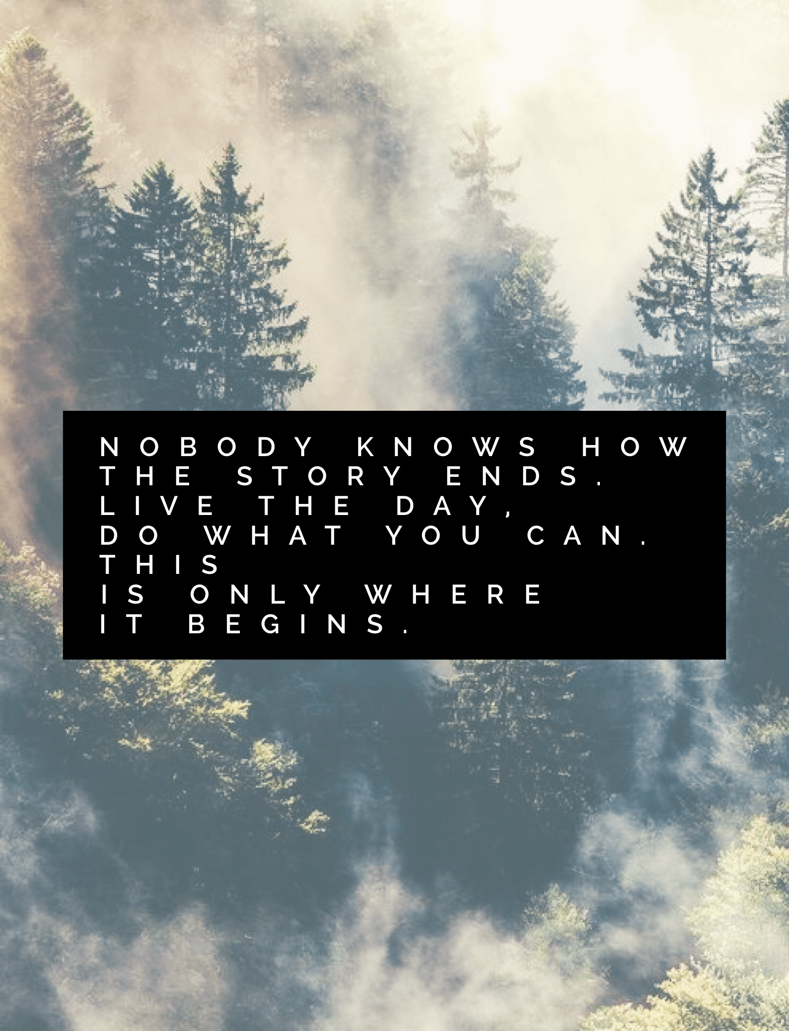 Nobody Knows (The Lumineers/ Pete's Dragon)