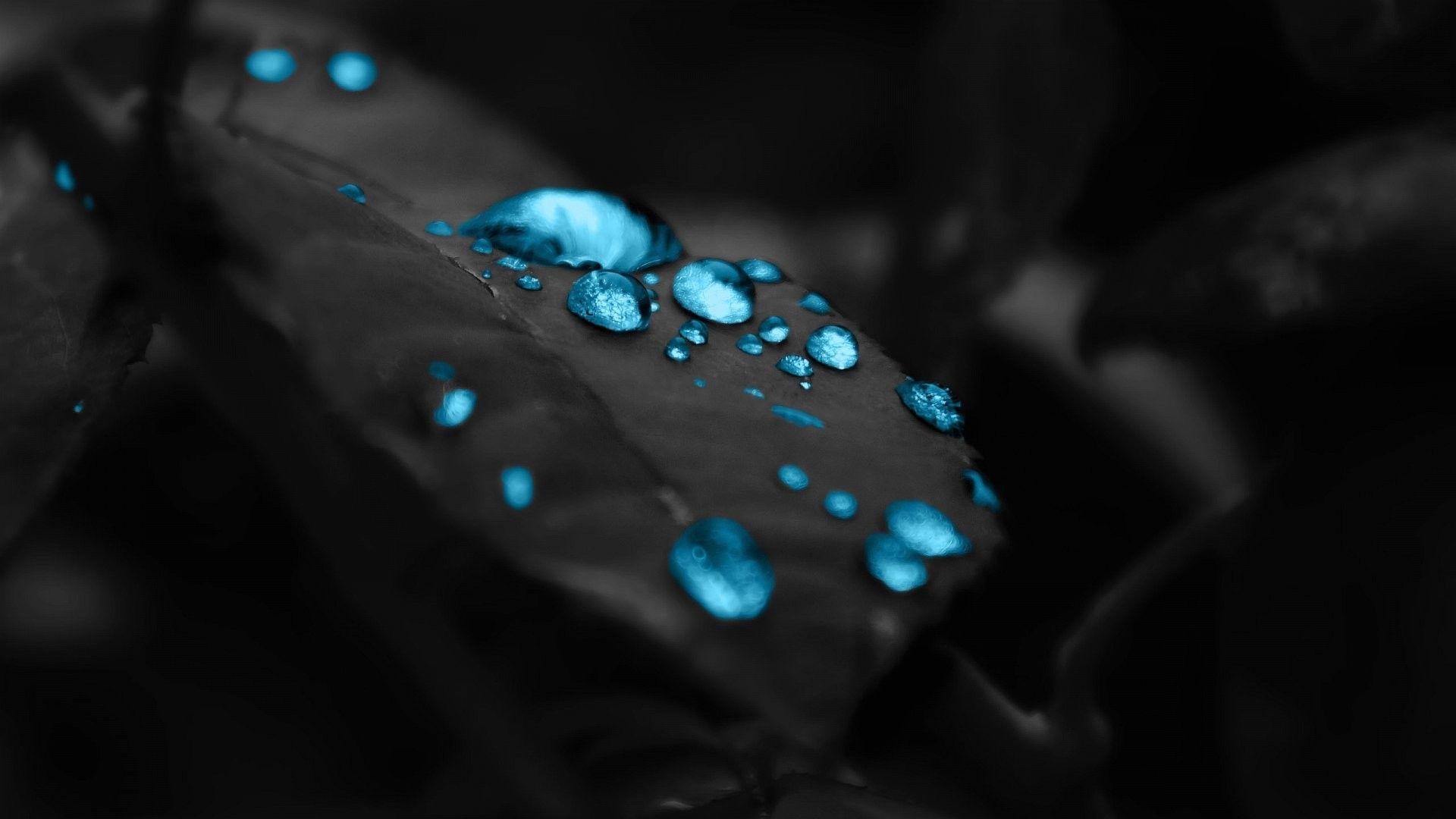 Blue water drops on a black leaf HD Wallpaper. Blue water wallpaper, Dark blue wallpaper, Blue wallpaper
