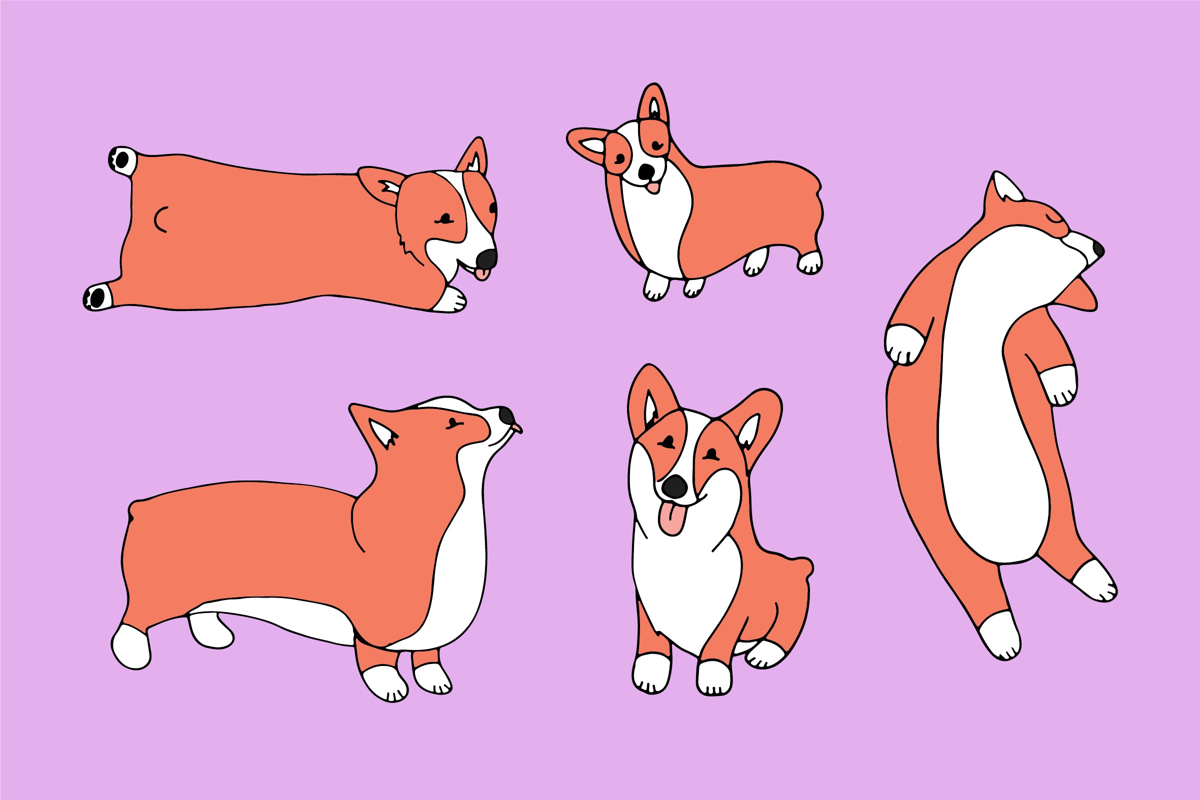 These Cat and Corgi Desktop and Smartphone Wallpaper Will