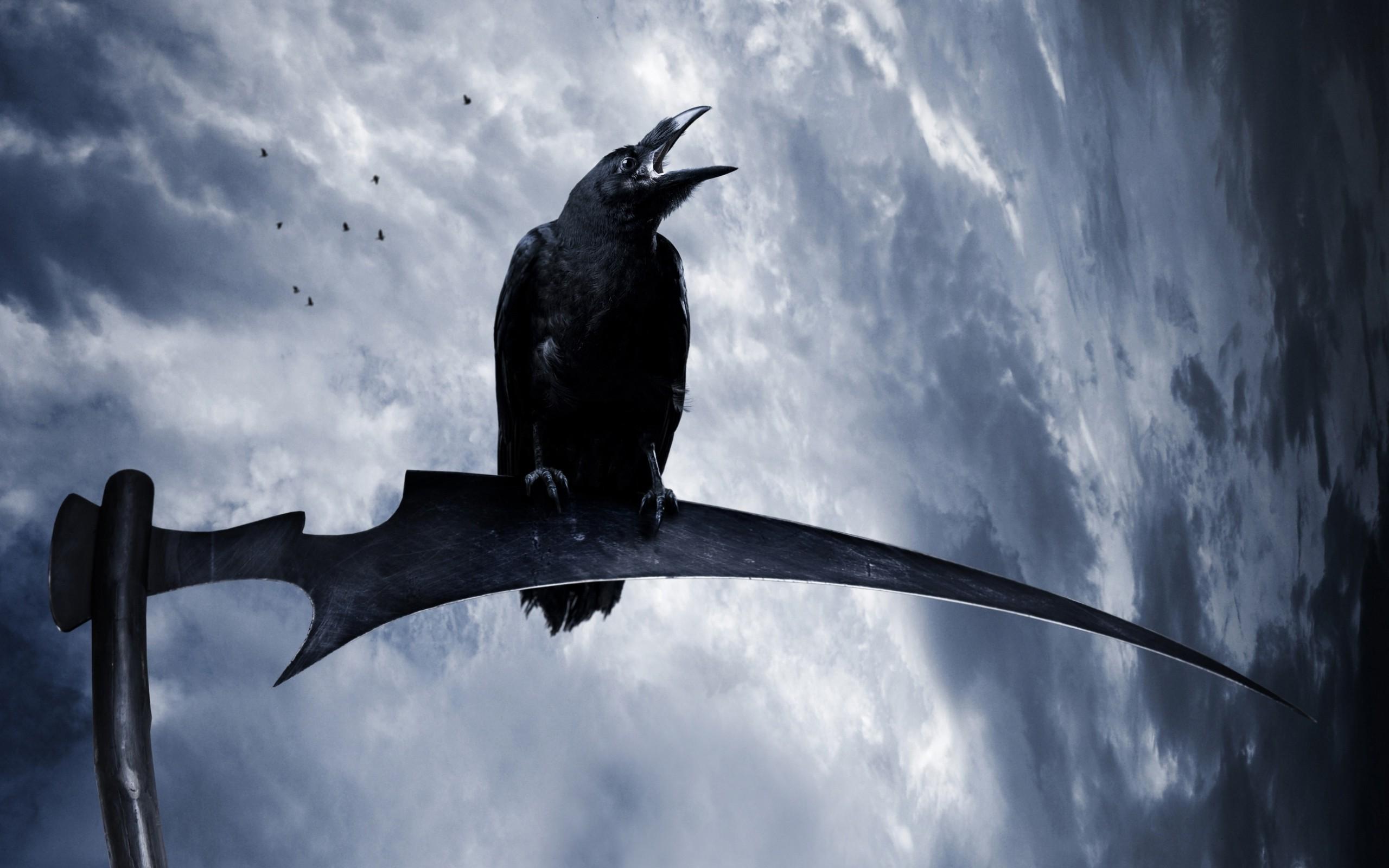 raven, Animals, Birds, Scythe, Fantasy Art Wallpaper HD