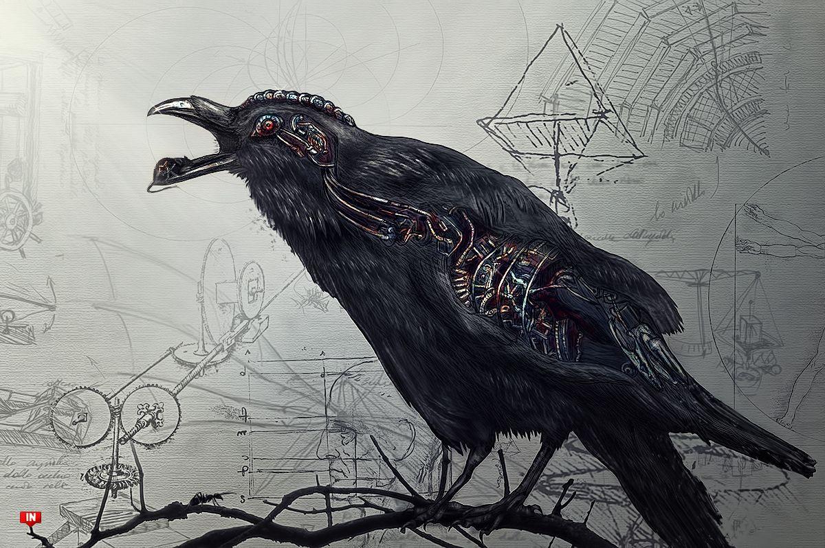 Raven Wallpaper Free Raven Background
