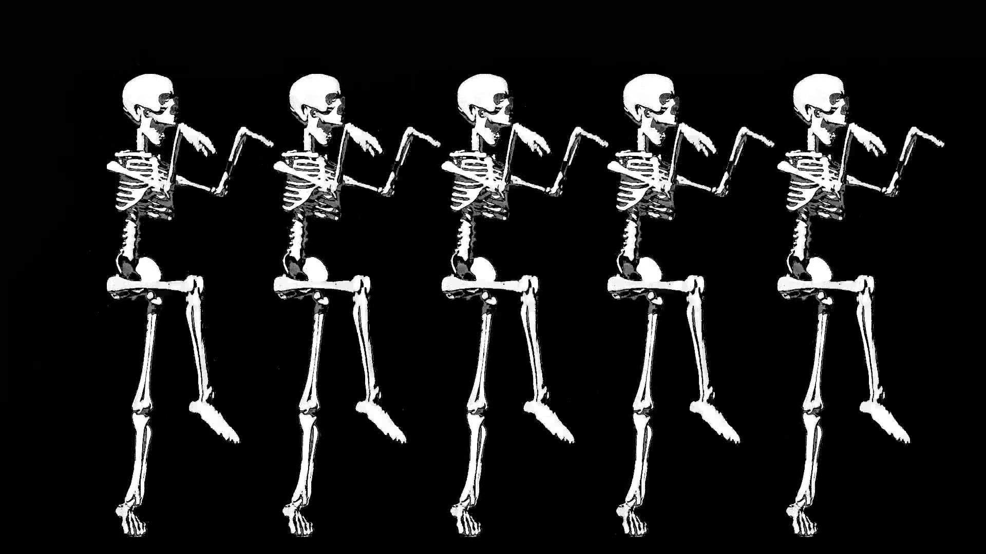 Halloween Skeleton Wallpaper Free Halloween Skeleton