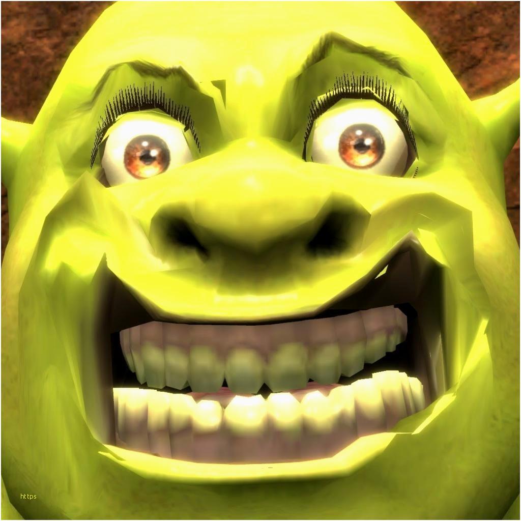 Shrek Wallpaper Best Of Similiar Dank Meme Background Meme