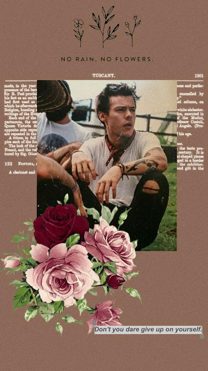 harry styles wallpapers shared by aria