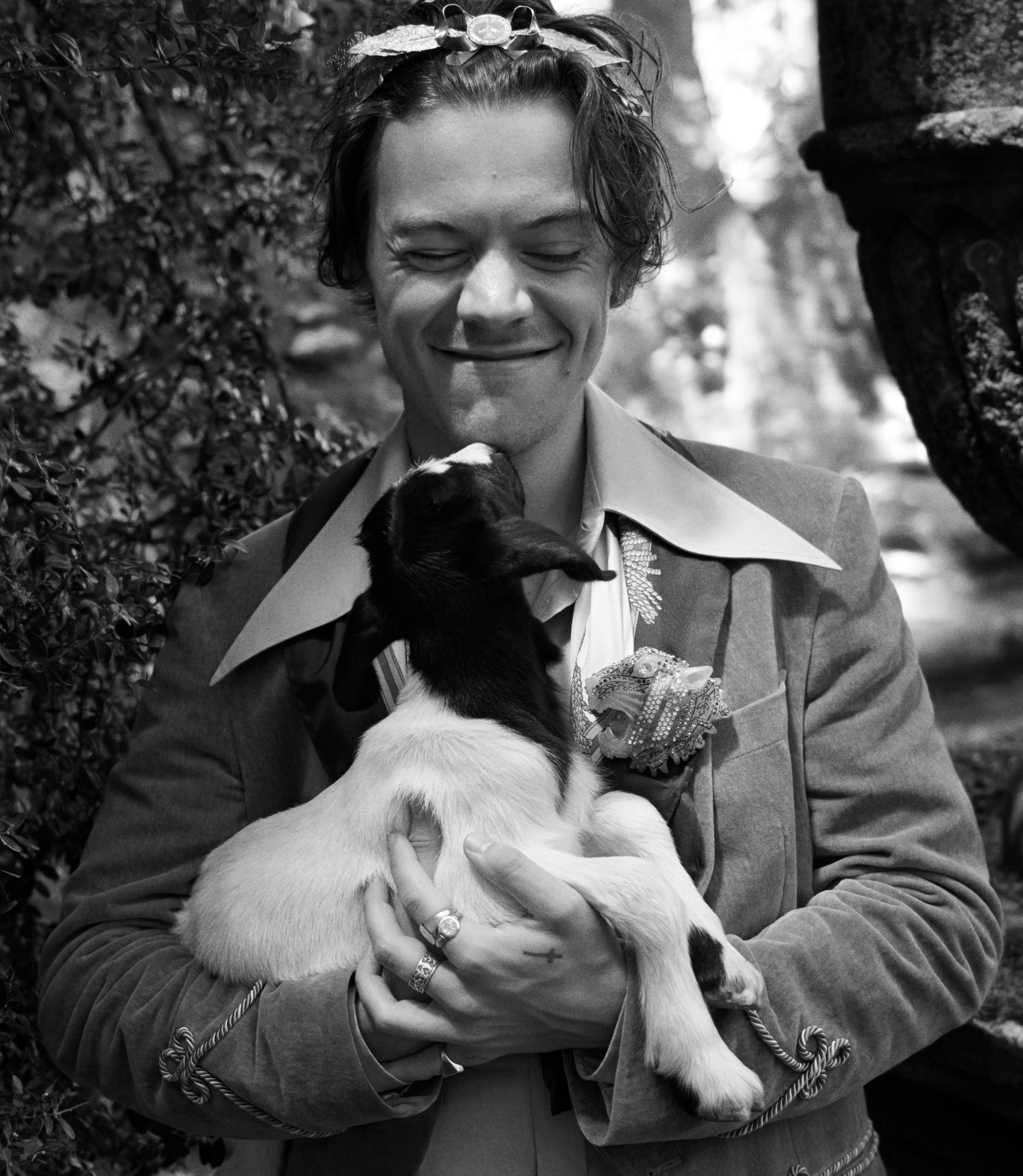 Harry Styles fronts Gucci campaign with baby pigs and goats