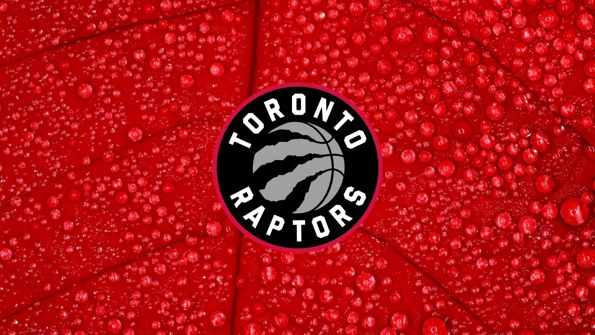 Toronto Raptors HD Wallpaper Basketball Wallpaper