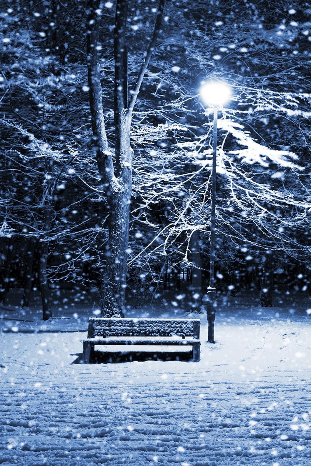 Snowy night iphone wallpaper Photo 36316847