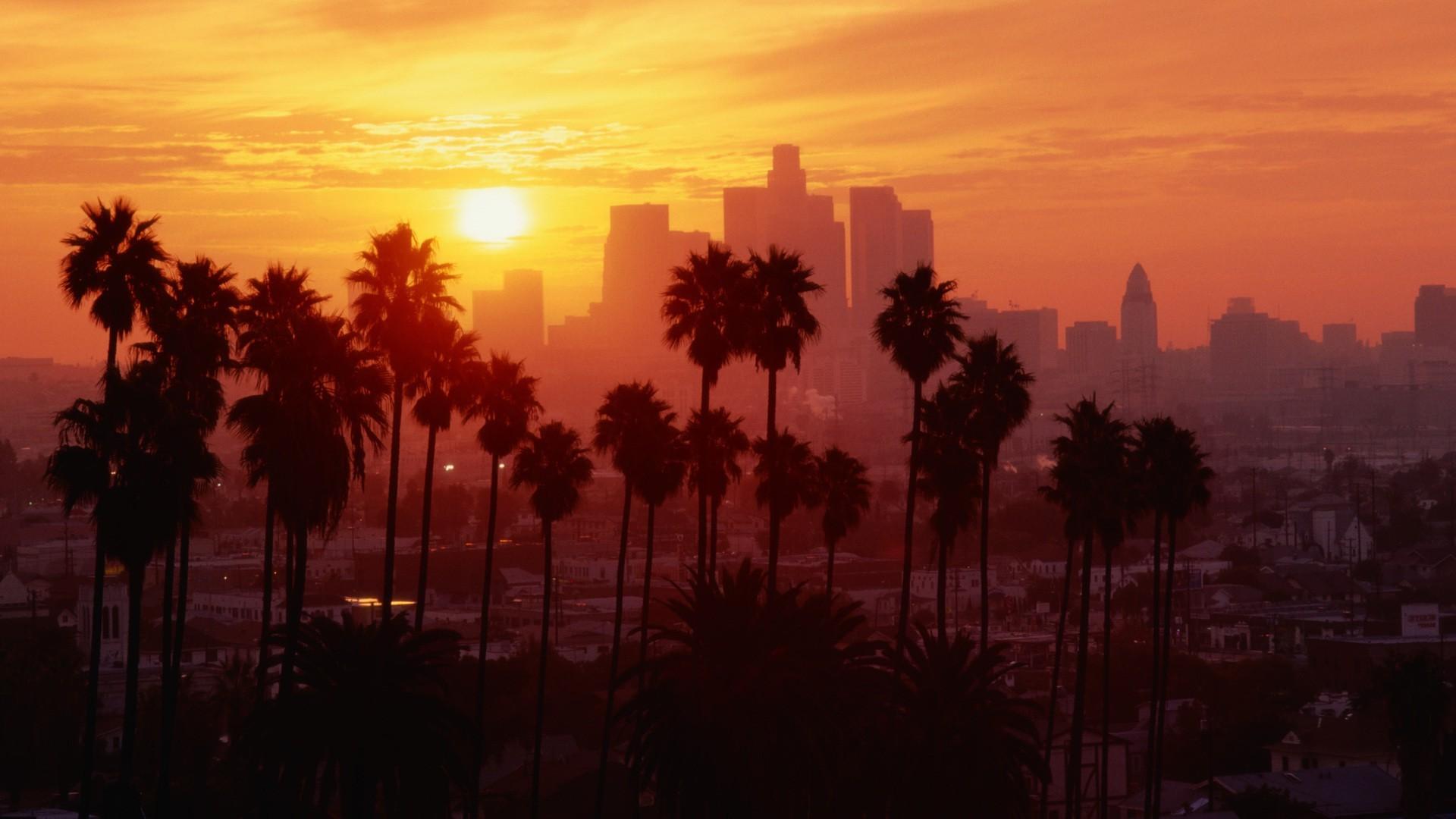 Los Angeles, Sunset, Palm trees Wallpaper HD / Desktop
