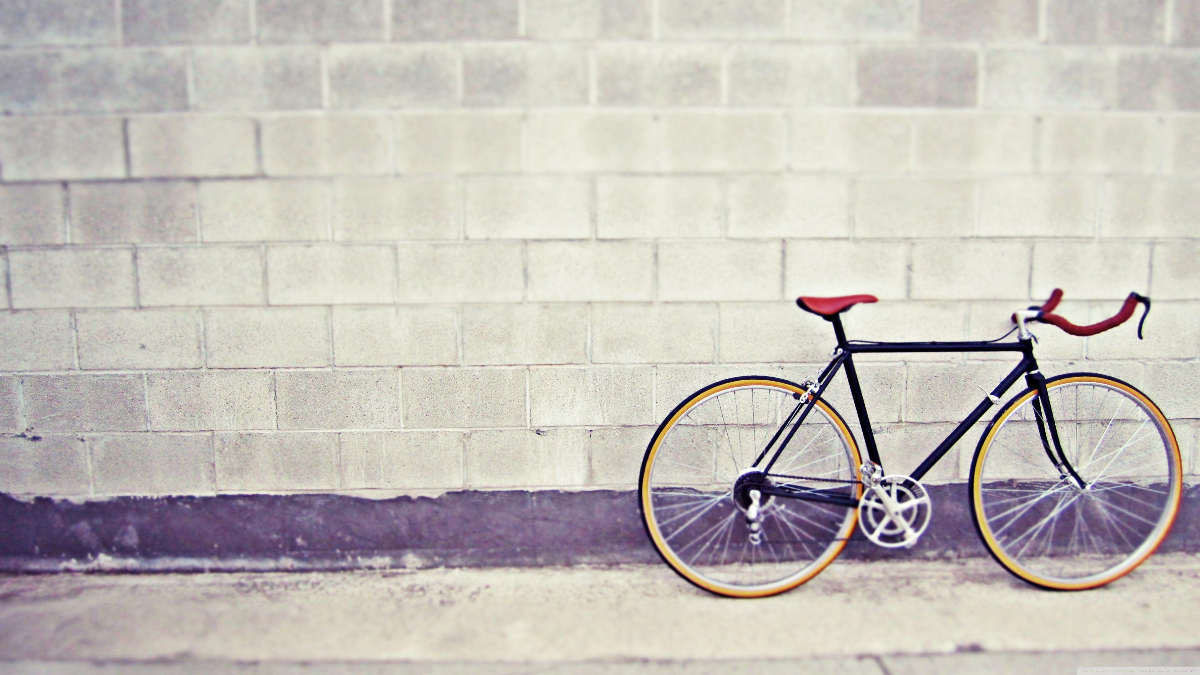 Riding Bicycle HD Desktop Wallpaper, Instagram photo, Background