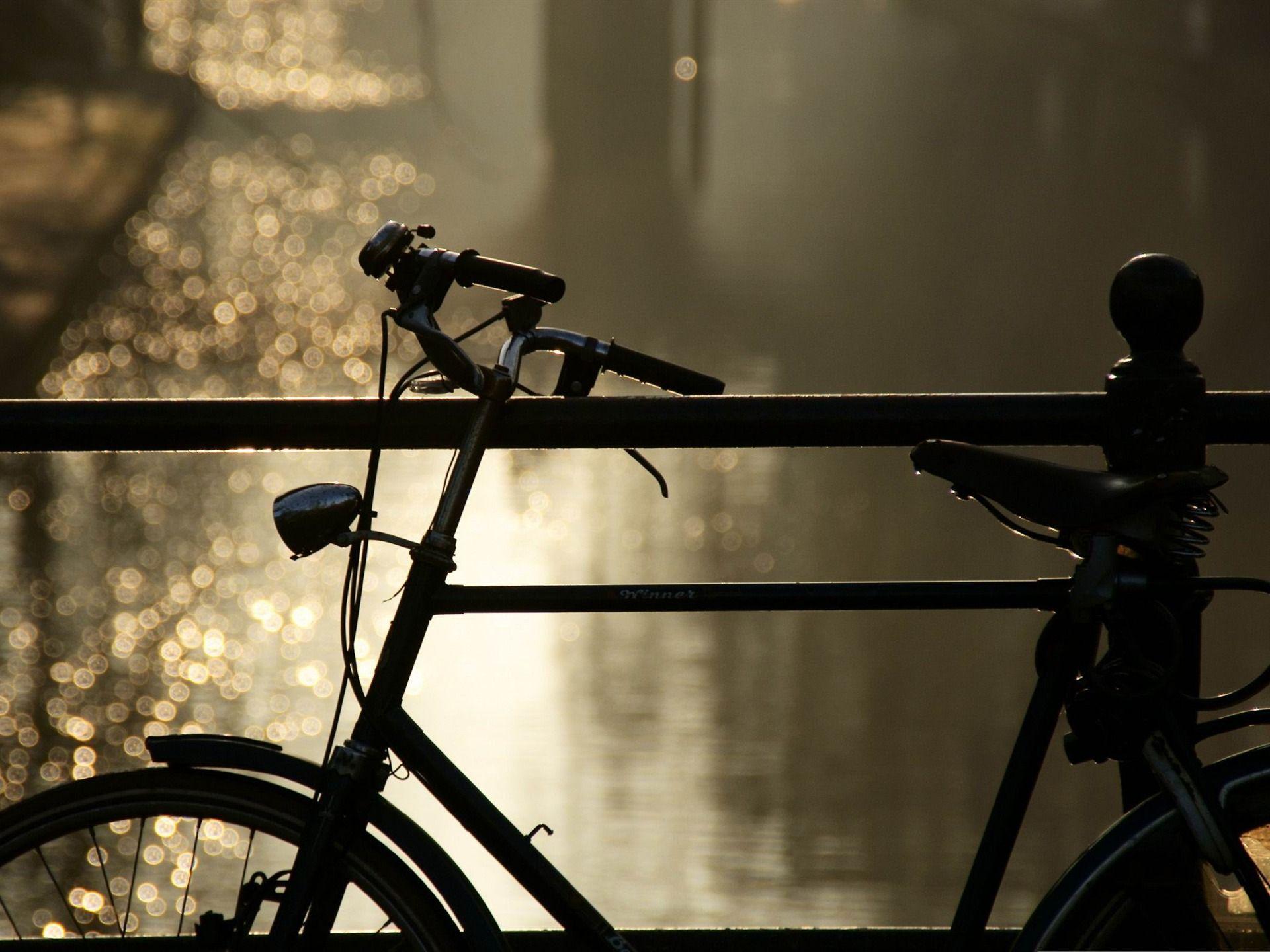 Autumn is a Lovely time for a bike ride. Bicycle, Bicycle