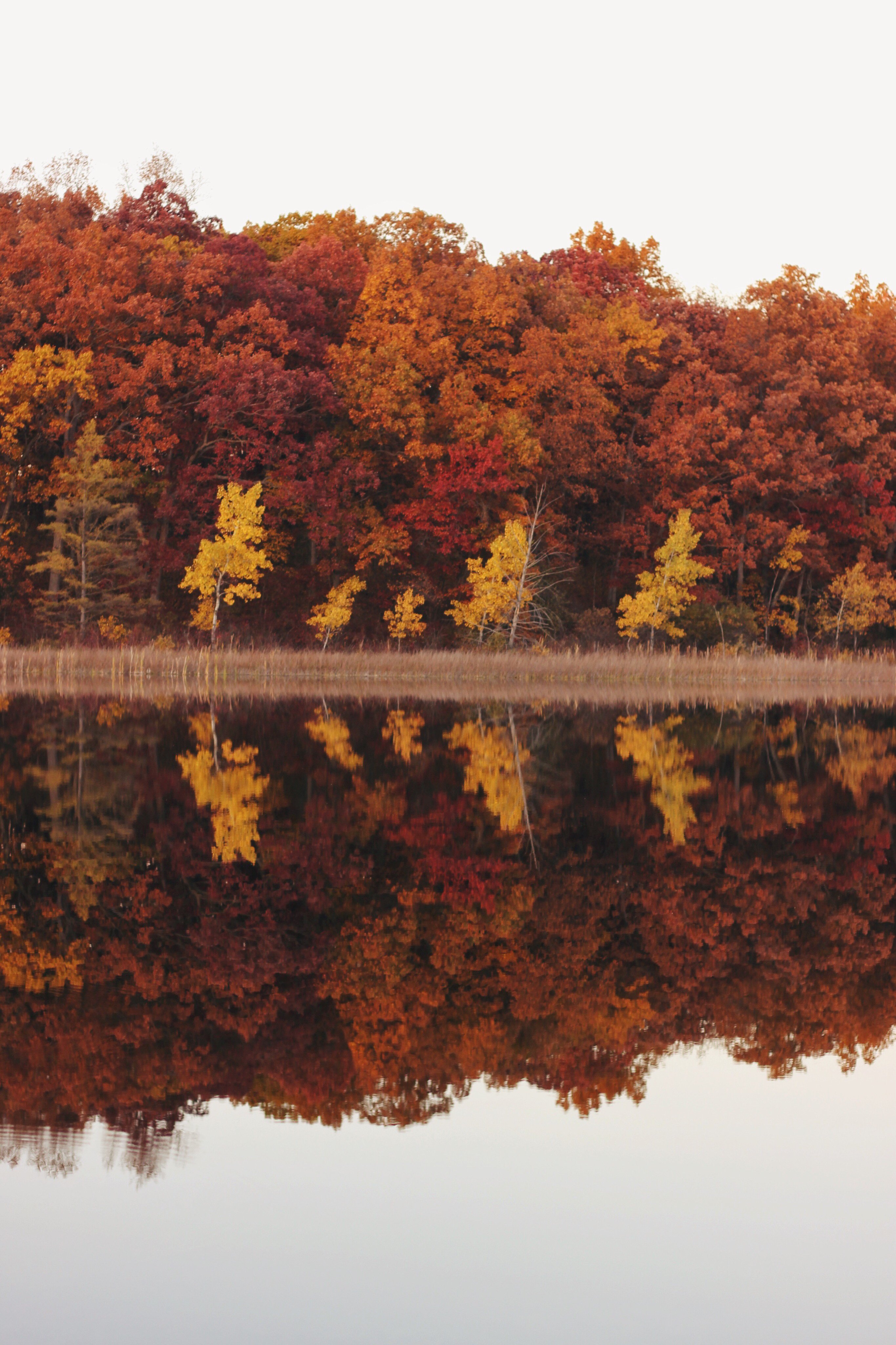 Autumn Reflections in Michigan HD wallpaper