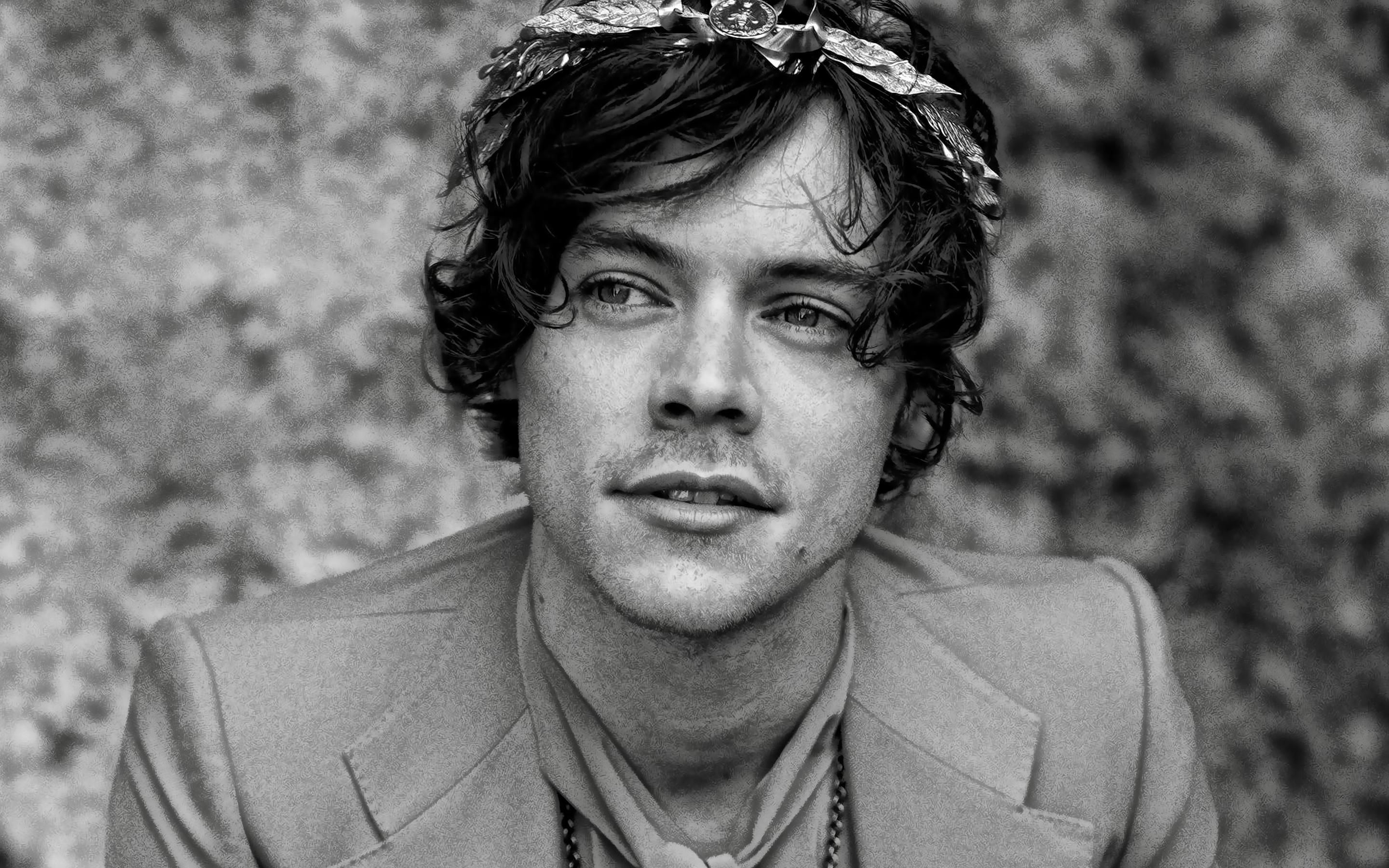 Download wallpaper Harry Styles, british singer, portrait