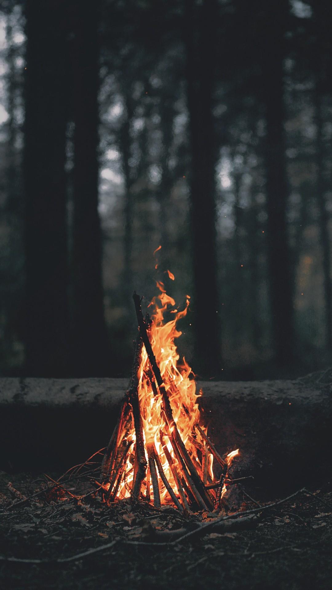nature landscape portrait display wood fire branch