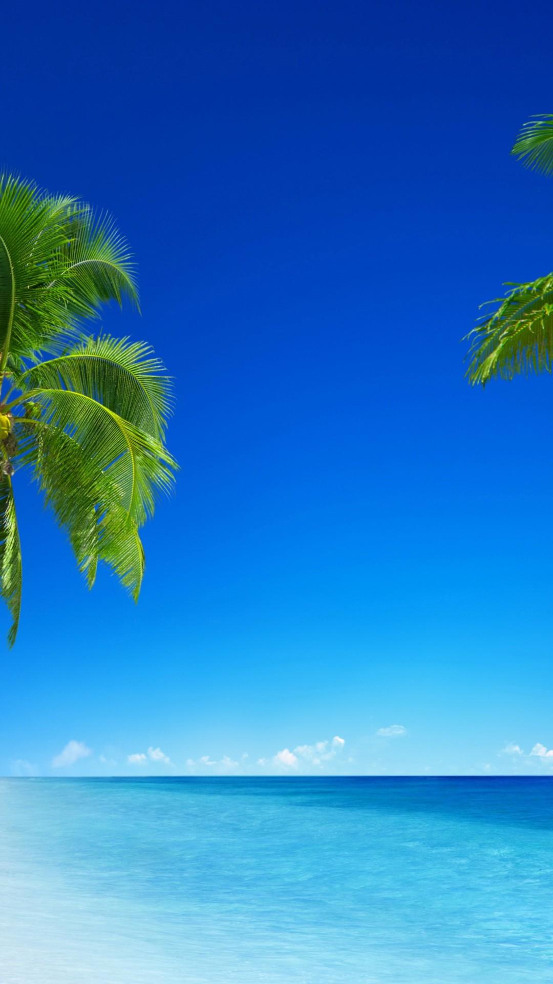 Wallpaper tropical beach, 5k, 4k wallpaper, 8k, paradise, palms