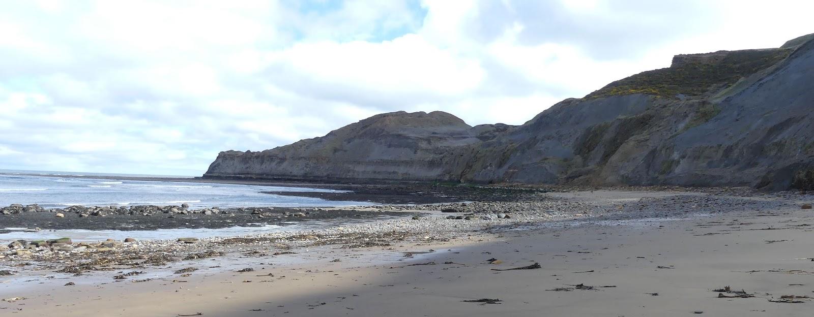 Julia Garner, Ammonites at Runswick Bay and Kettleness Sand