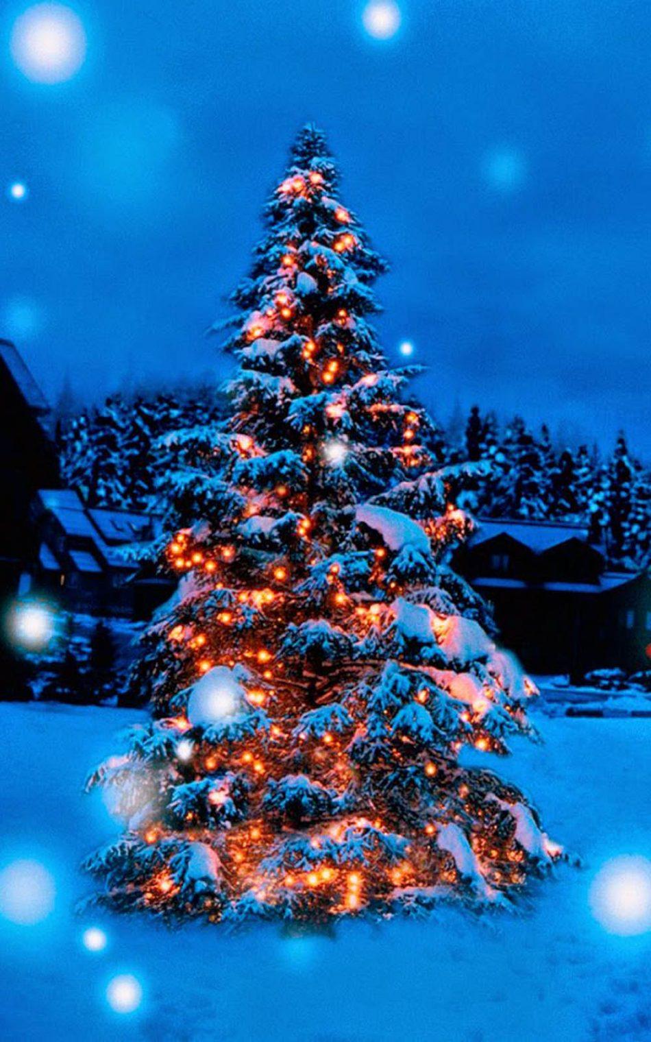 Christmas Tree Lights Decoration Snow Covered 4K Ultra HD Mobile Wallpapers