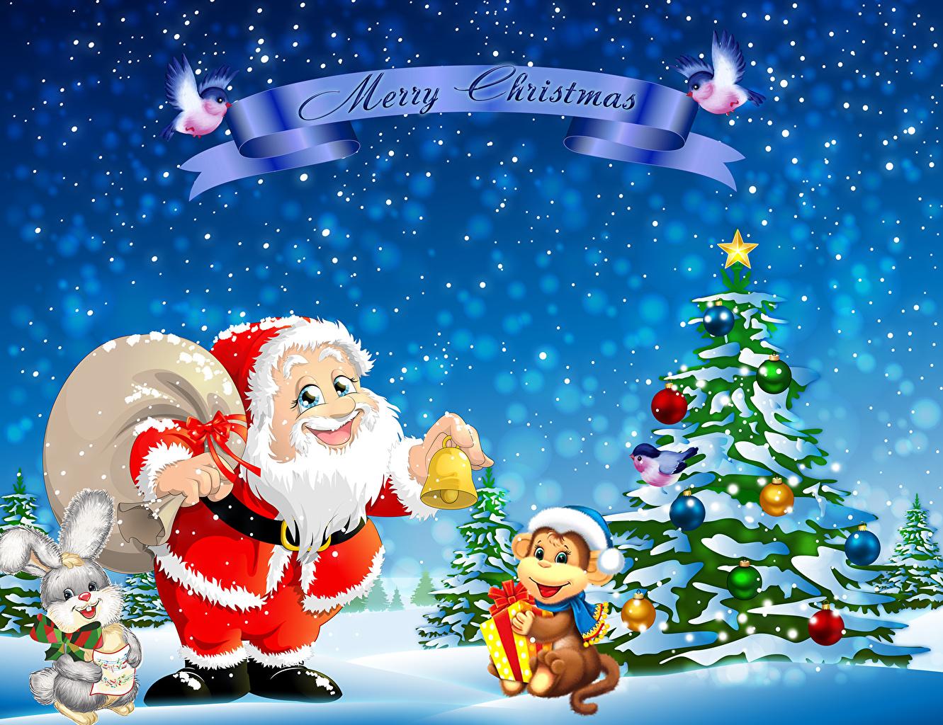 Desktop Wallpaper Monkeys Christmas Winter hat Santa Claus