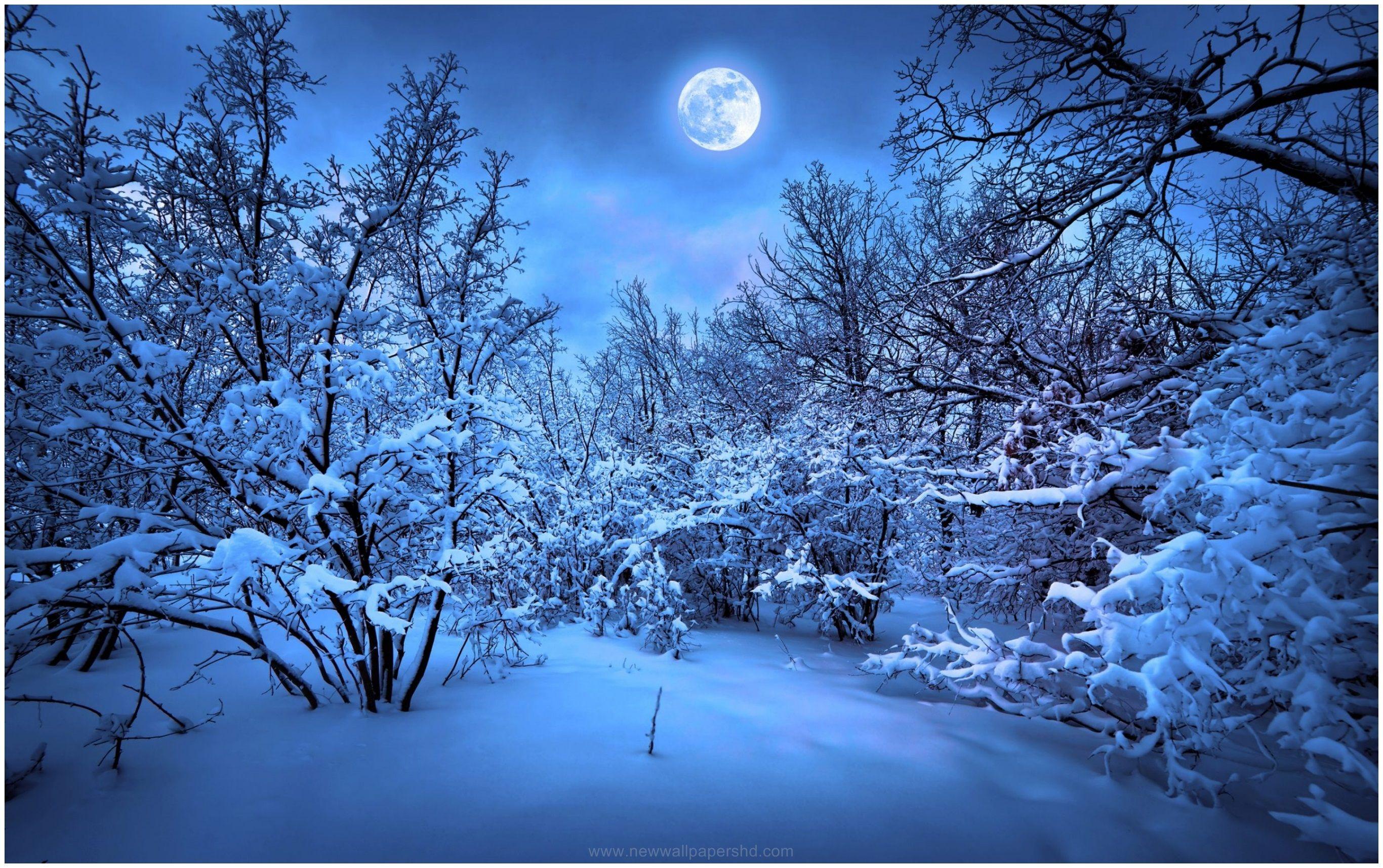 WINTER NIGHTS FULL MOON HD WALLPAPER. Winter night, Winter