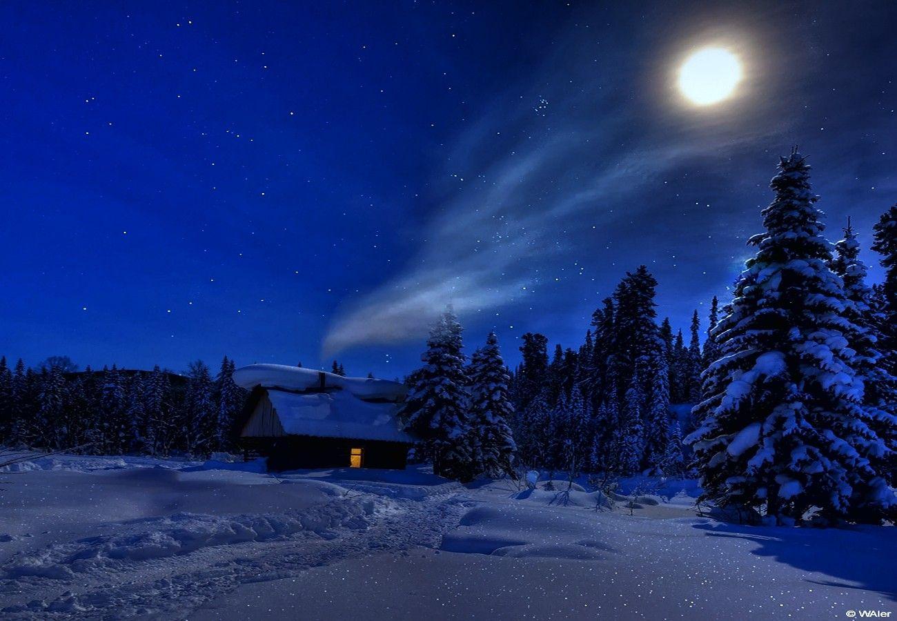 Winter Moonlight Wallpaper