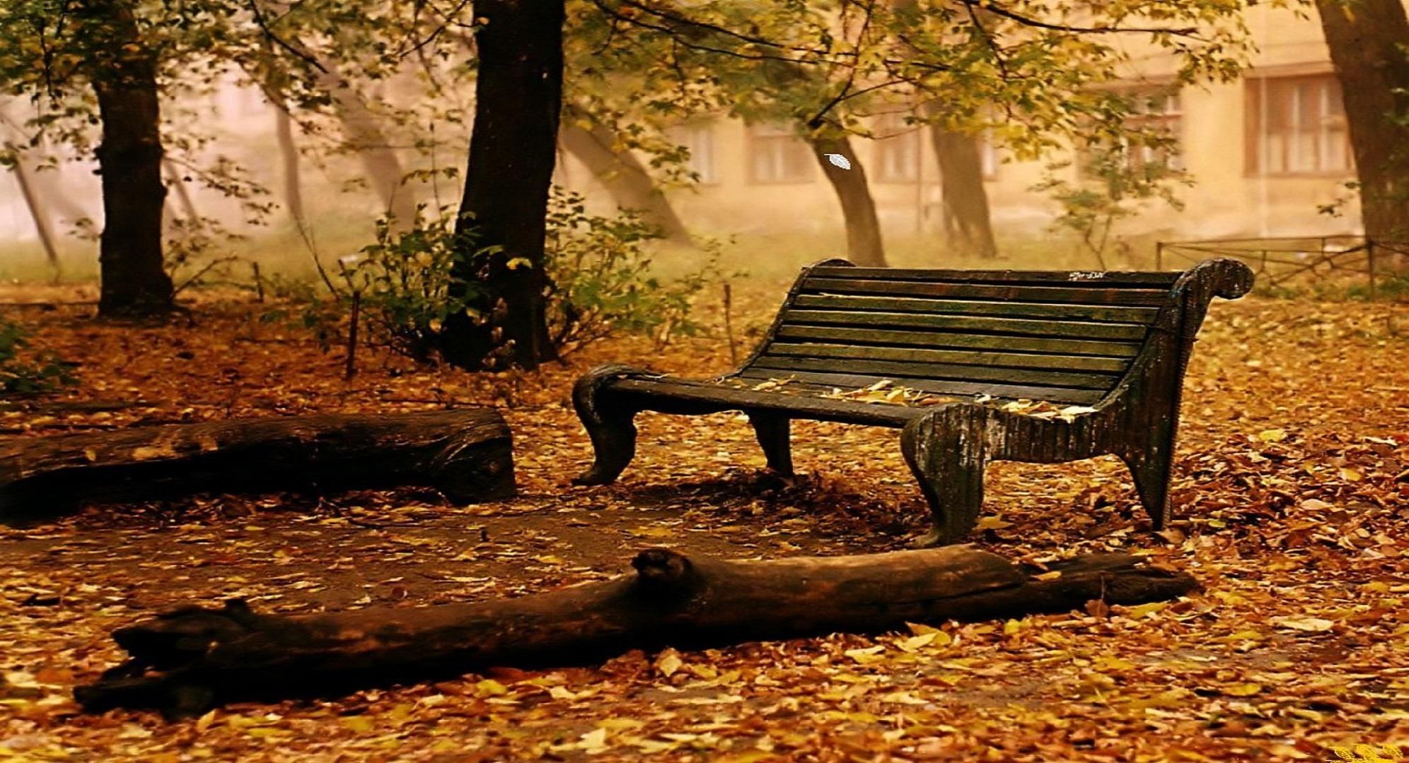 Rest Of Autumn Wallpaper Image Free Download