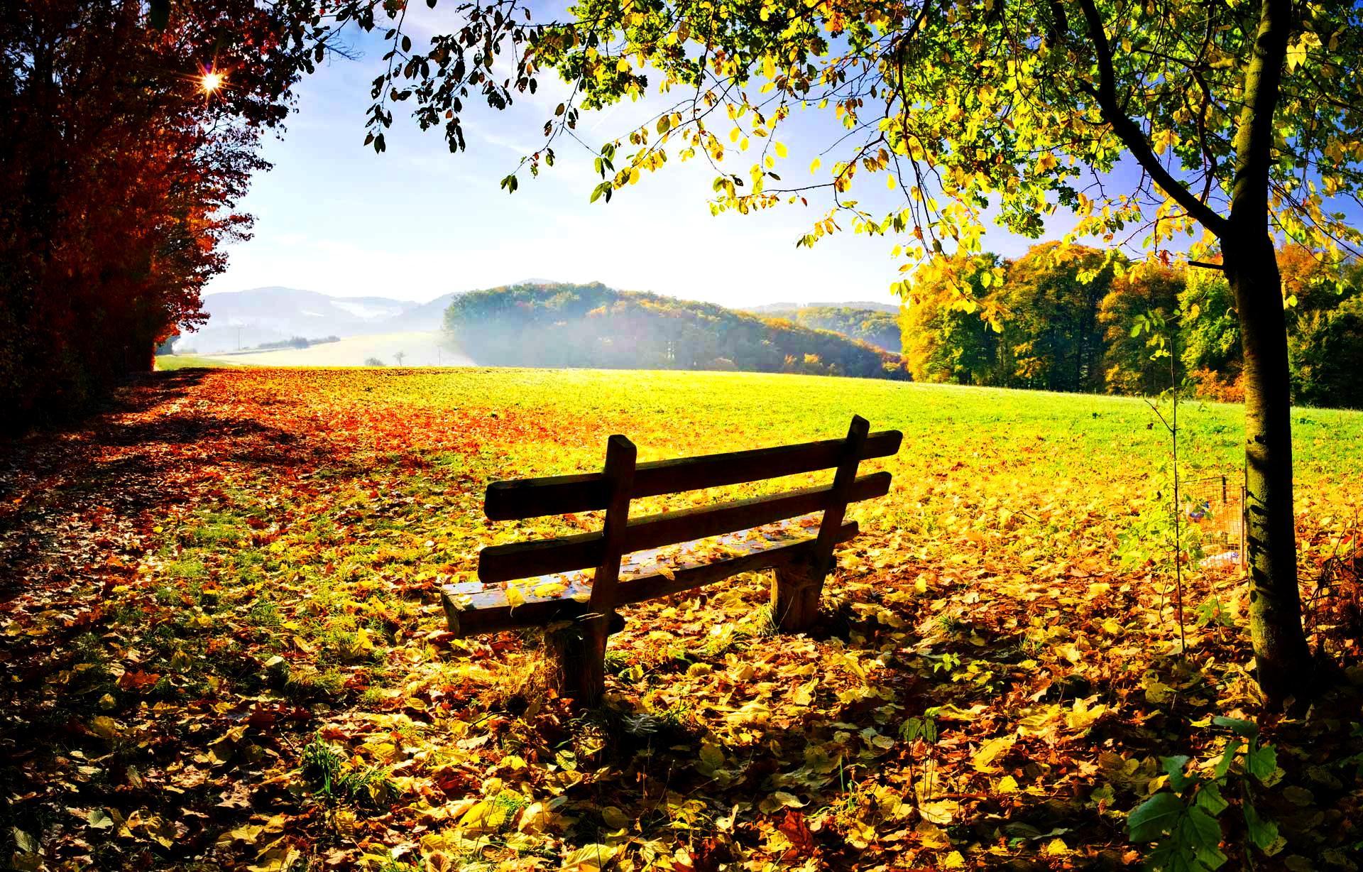 Autumn rest wallpaper. nature and landscape