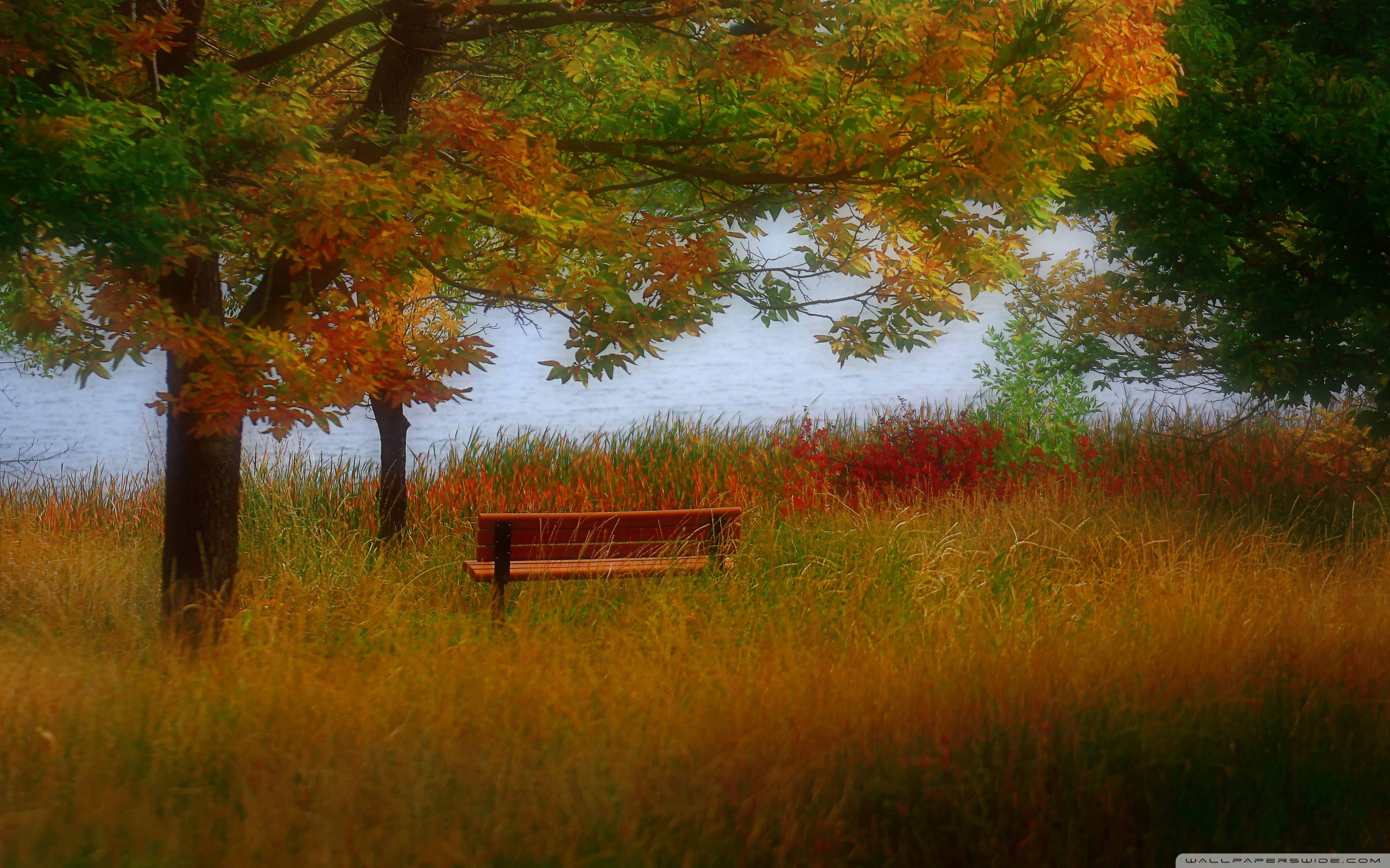 Beautiful Autumn Scenery ❤ 4K HD Desktop Wallpaper for 4K
