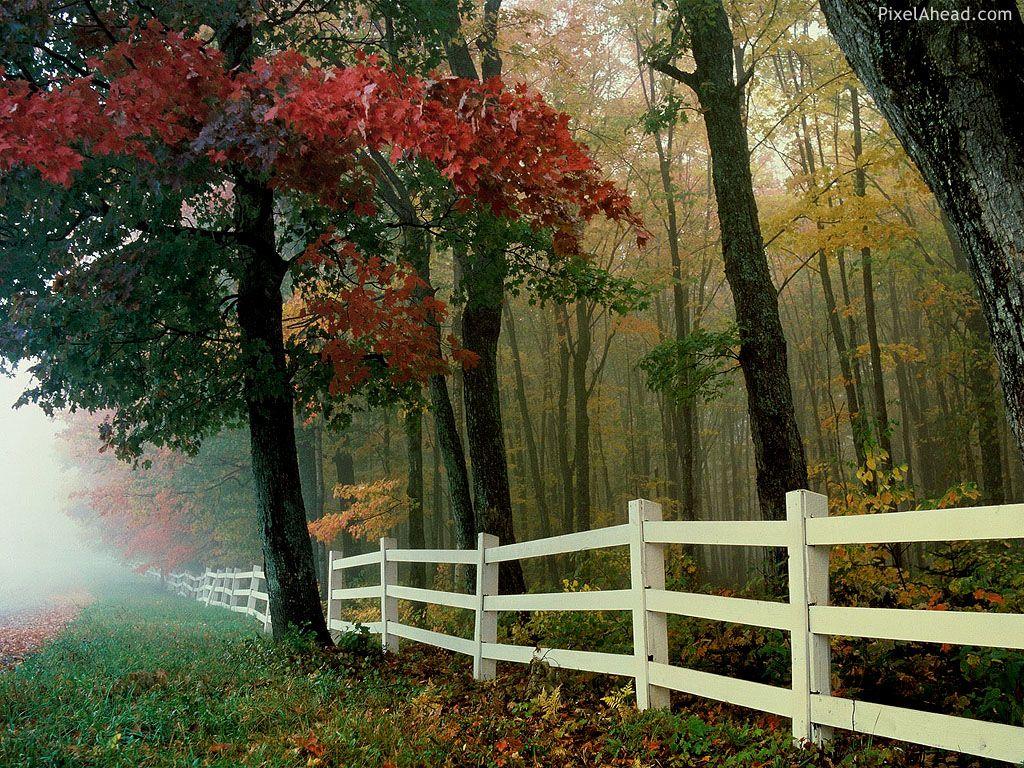 Autumn rest HD desktop wallpaper, Widescreen, High