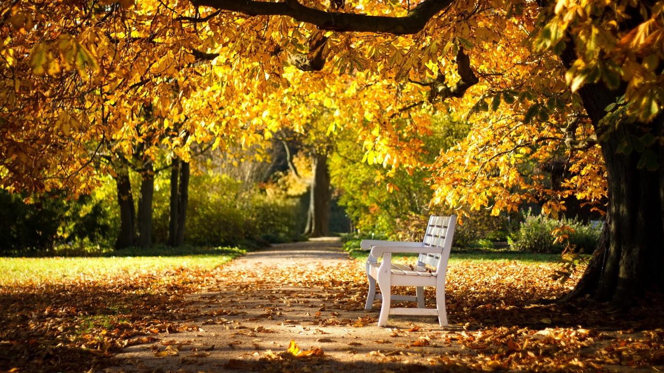 Rest Of Mind In Autumn Place Wallpaer Image