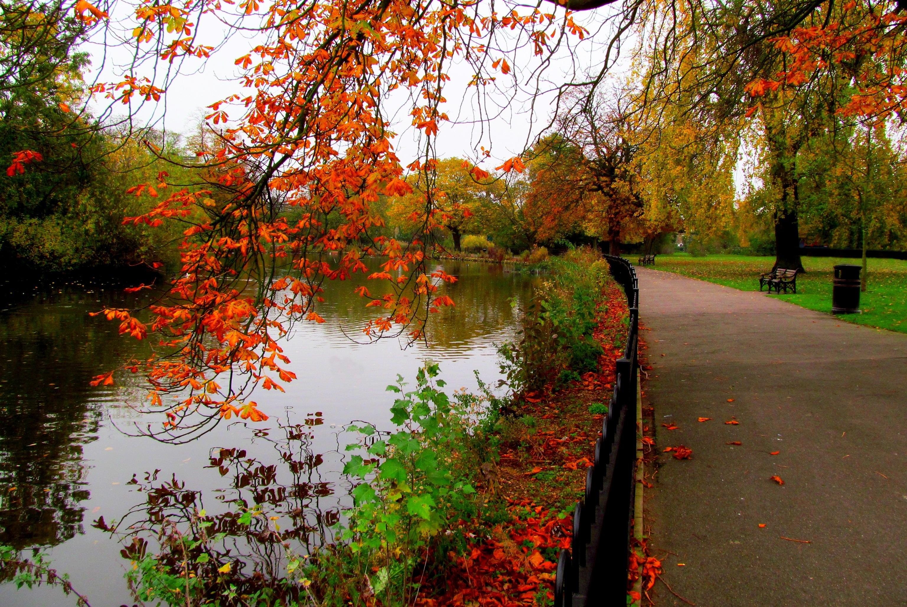 autumn, Nature, Trees, Walk, River, Park, Hdr, Leaves, Alley
