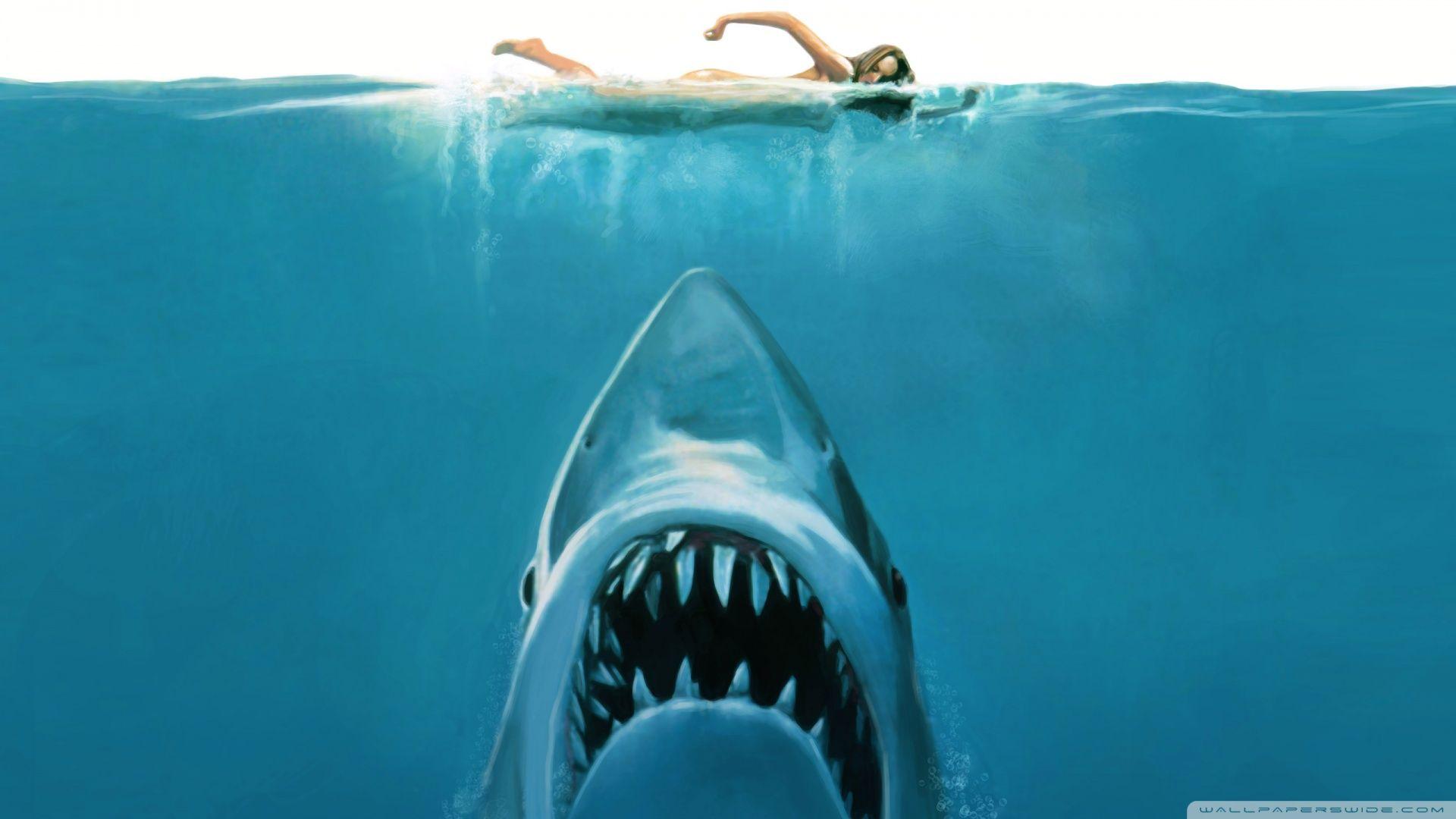 Shark Attack Painting ❤ 4K HD Desktop Wallpaper for 4K Ultra HD TV