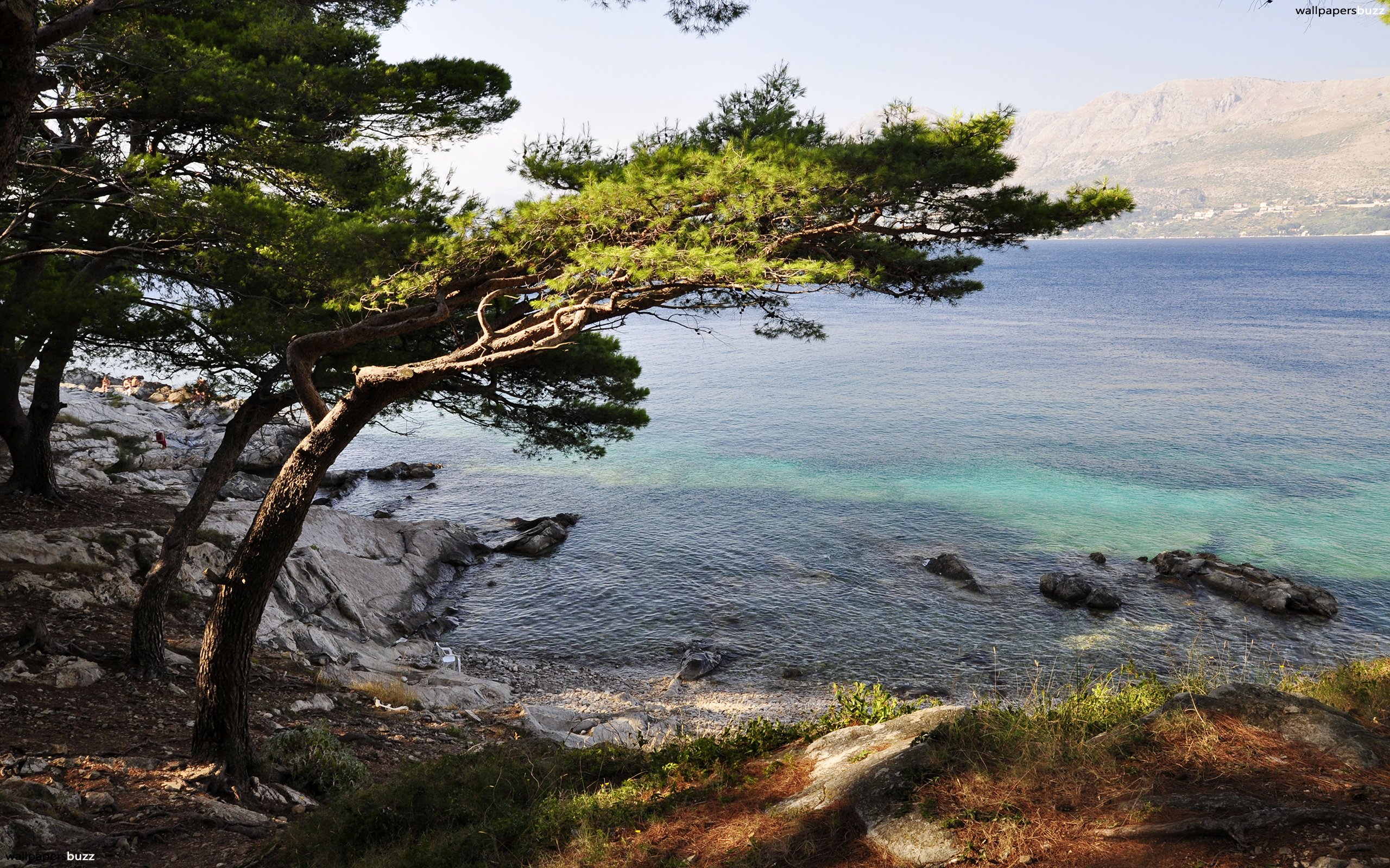 Rocky coast HD Wallpaper